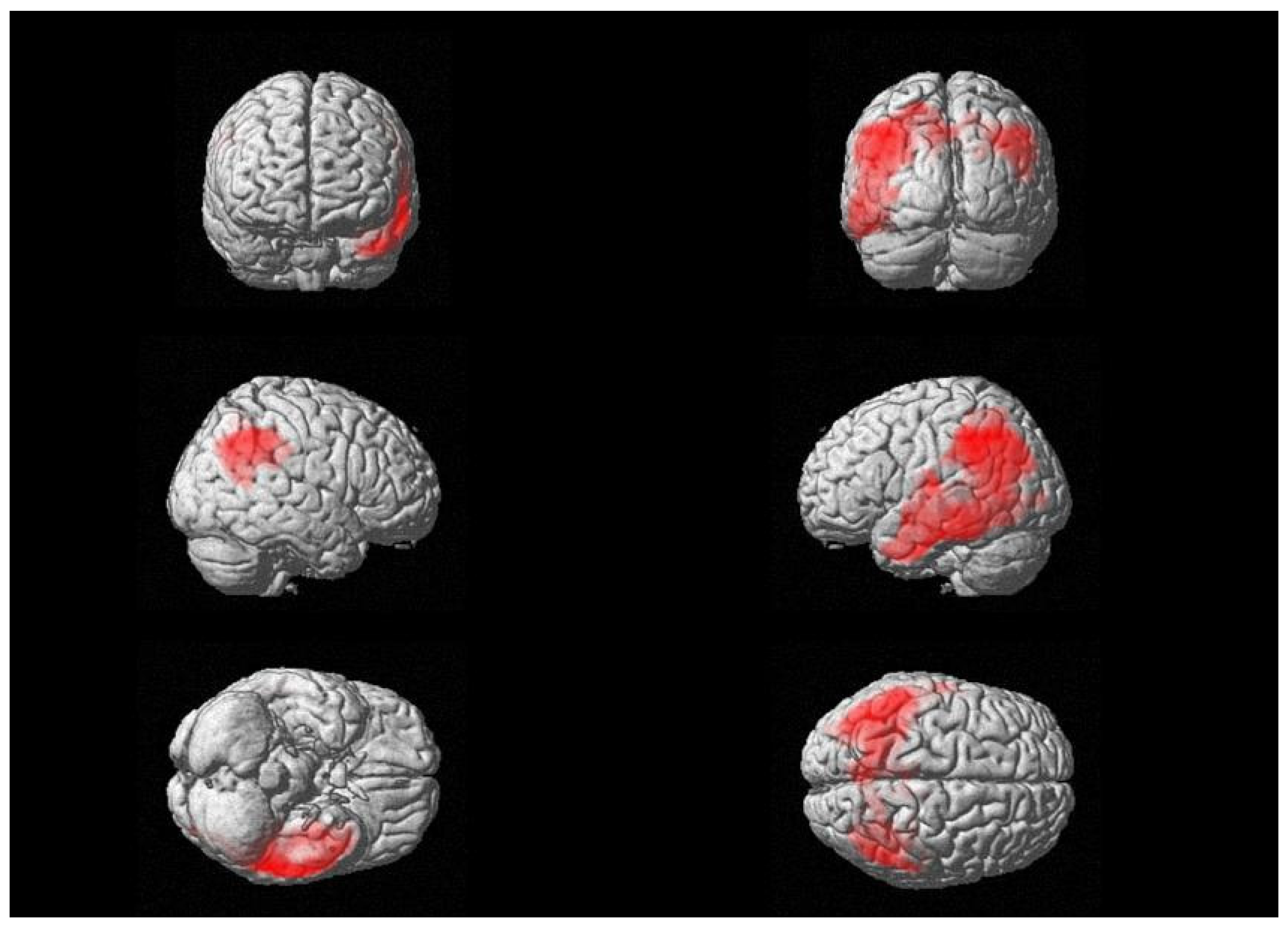 Biomedicines 11 00725 g002