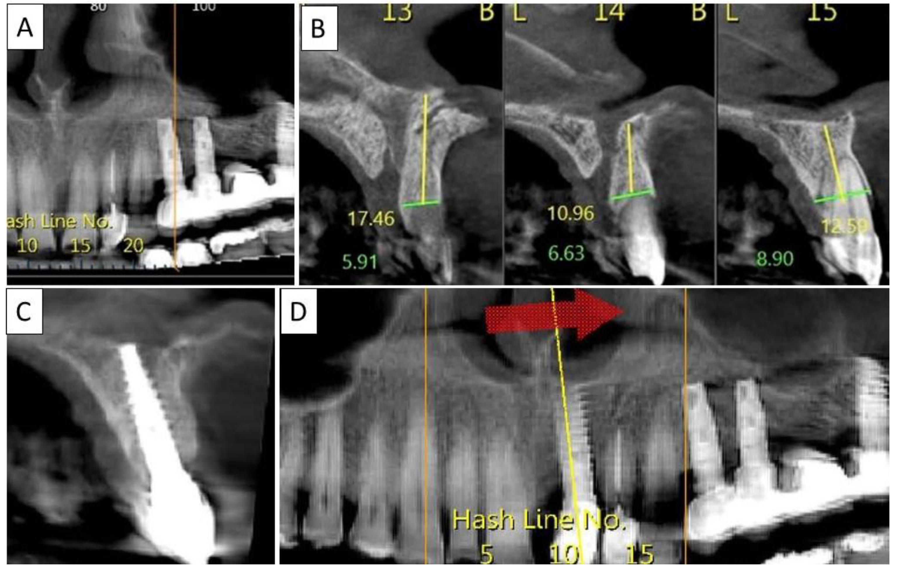 Biomedicines 11 00744 g007