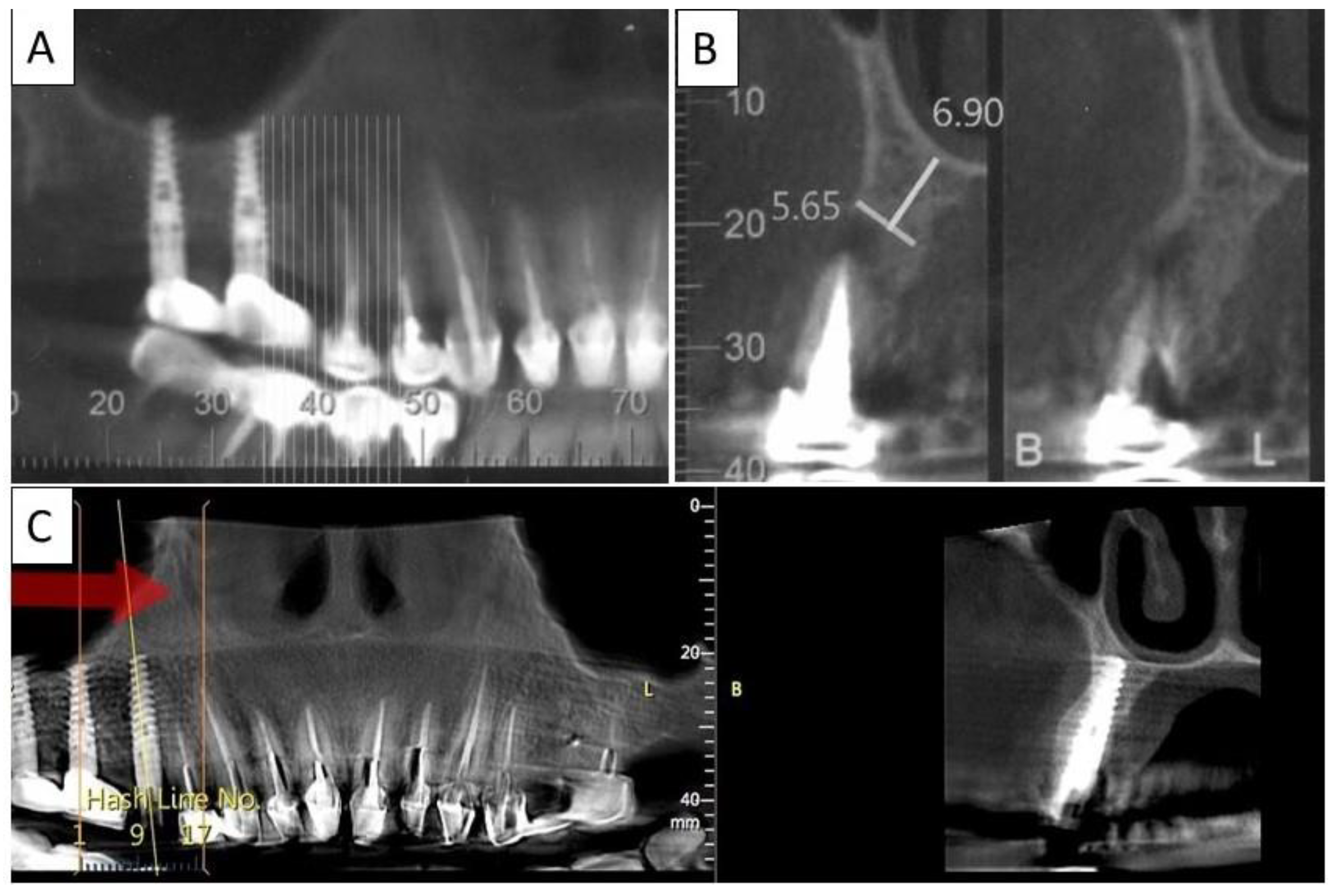Biomedicines 11 00744 g009