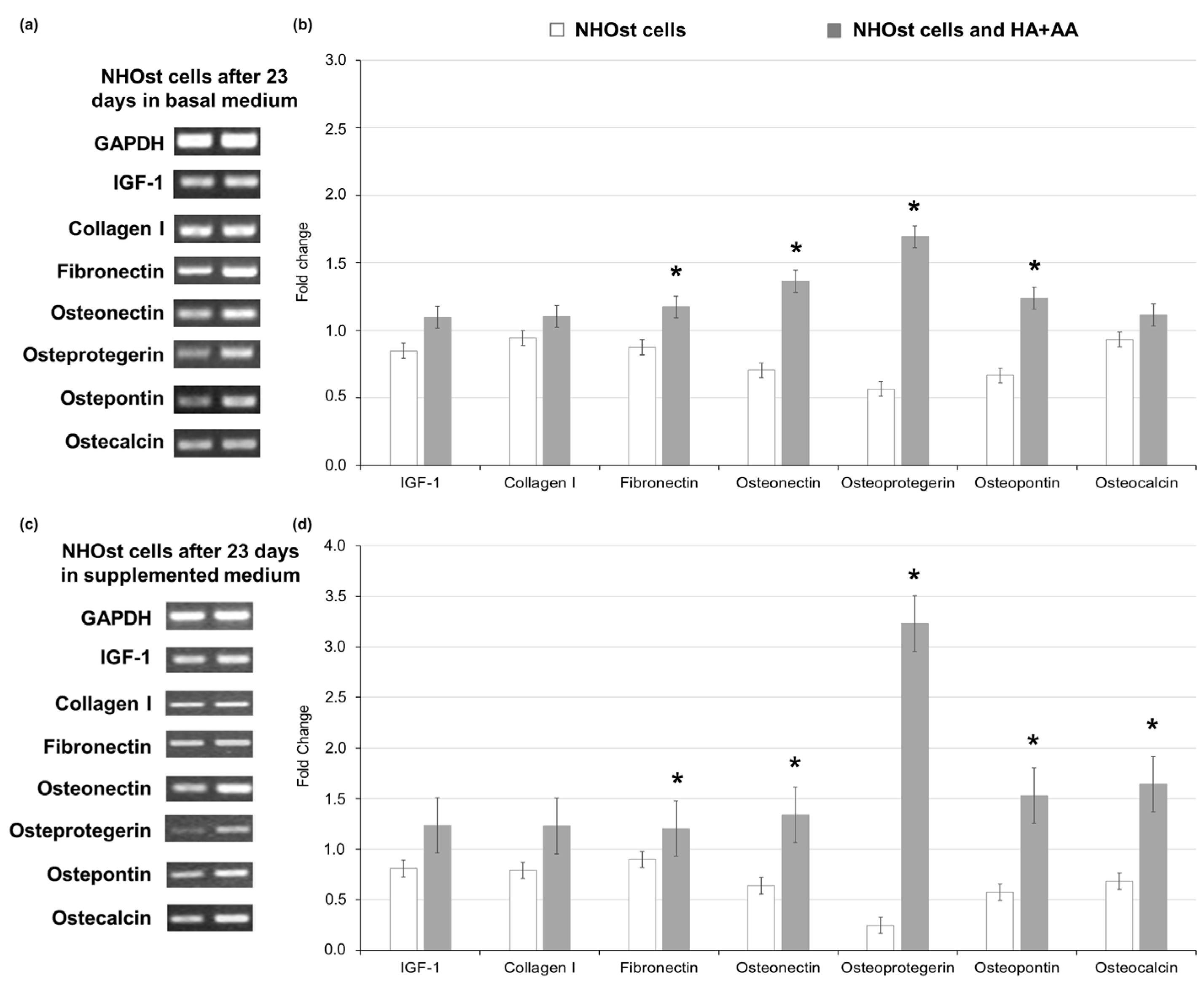 Biomedicines 11 00751 g003 Biomedicines 11 00751 g003