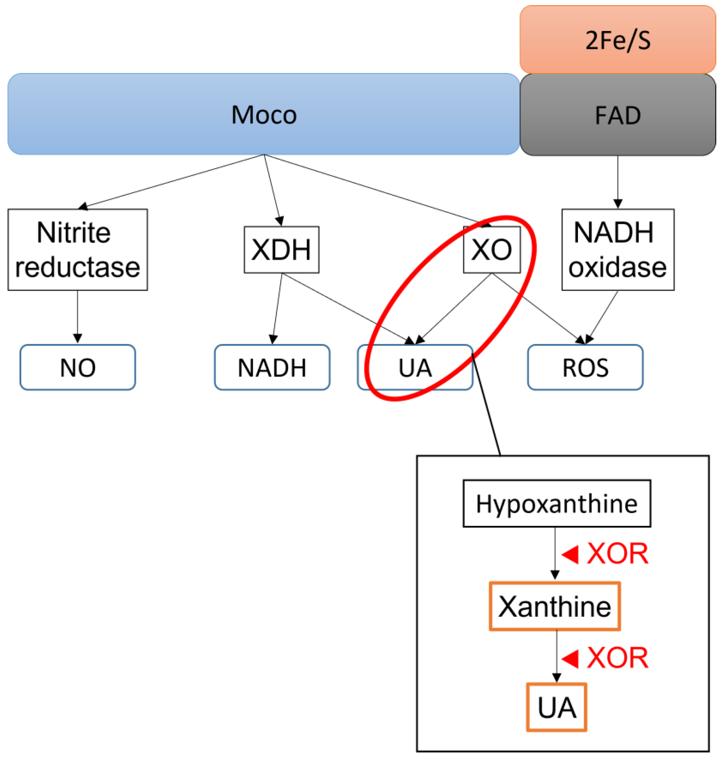 Biomedicines 11 00754 g001