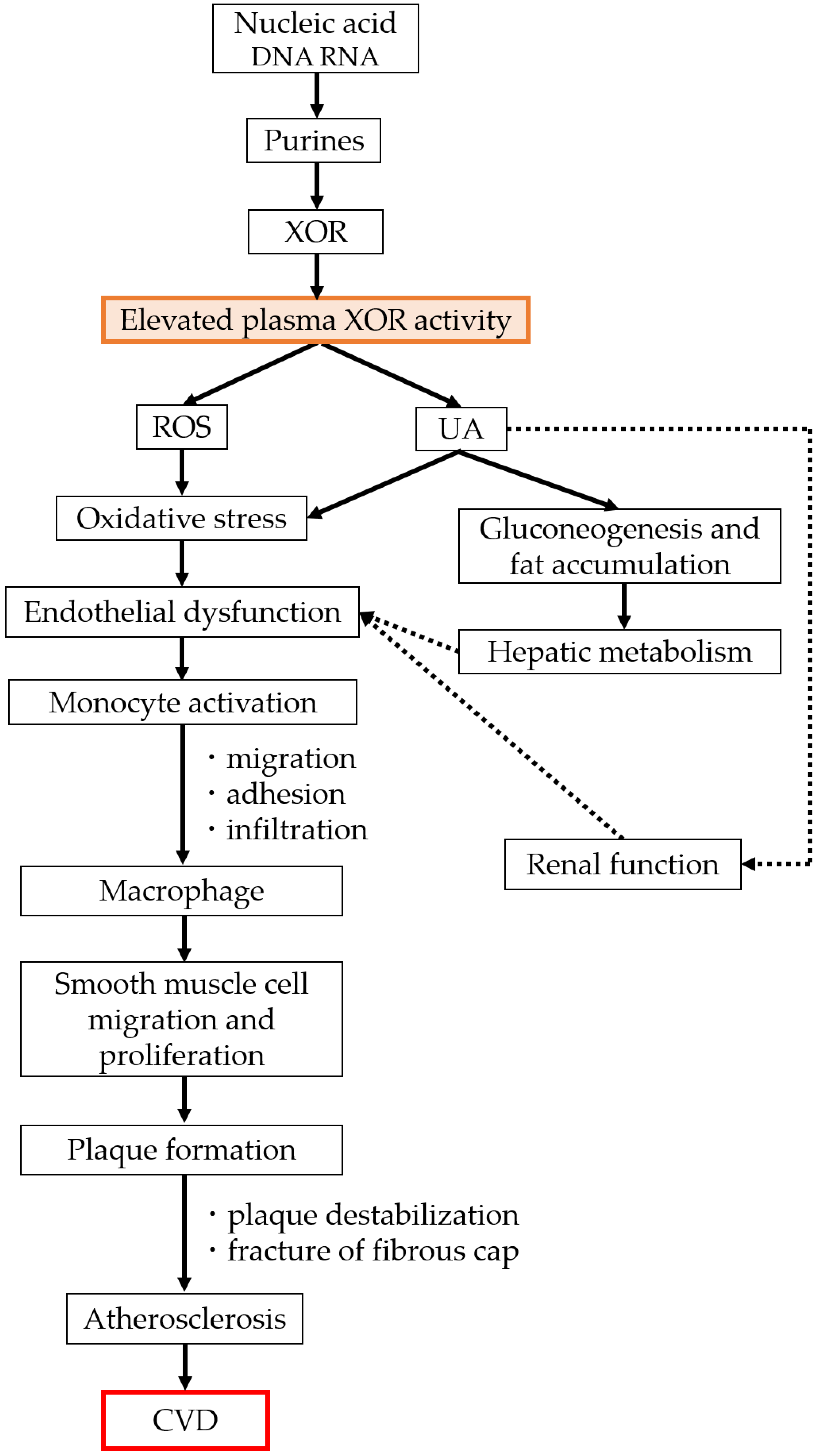 Biomedicines 11 00754 g002