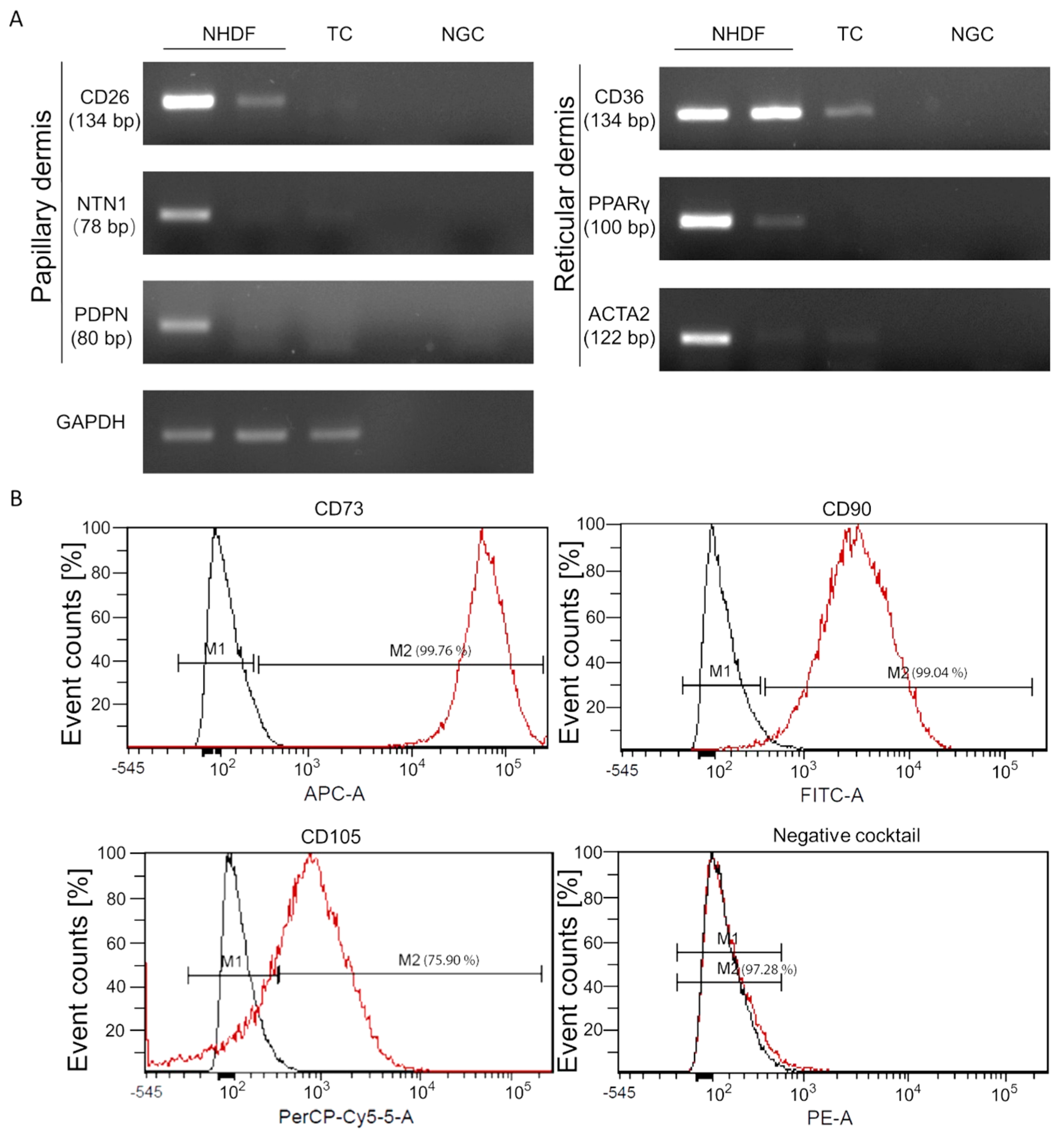 Biomedicines 11 00772 g001 Biomedicines 11 00772 g001