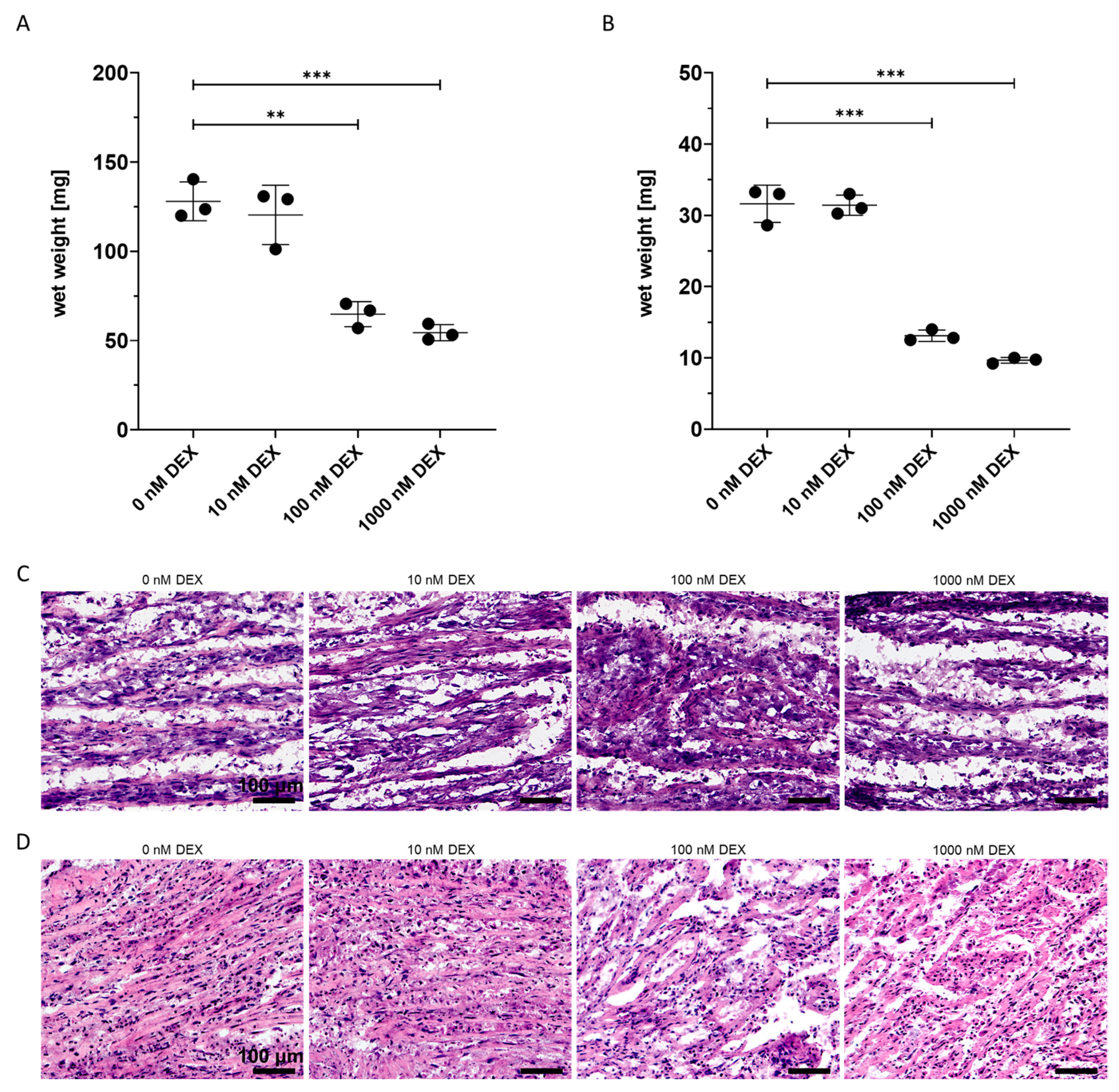 Biomedicines 11 00772 g003 Biomedicines 11 00772 g003