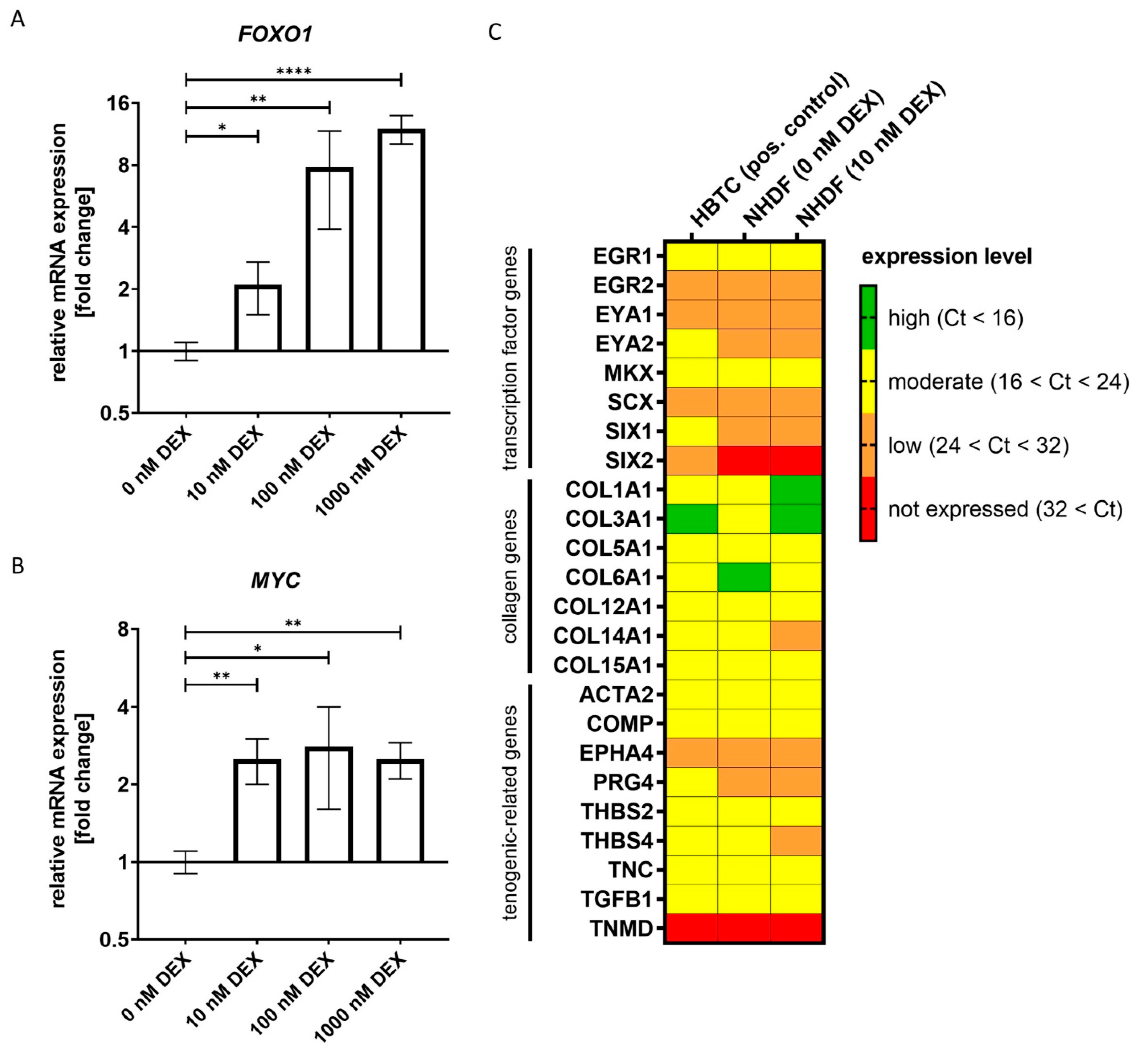 Biomedicines 11 00772 g007 Biomedicines 11 00772 g007