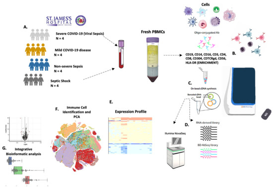 Biomedicines 11 00778 g001