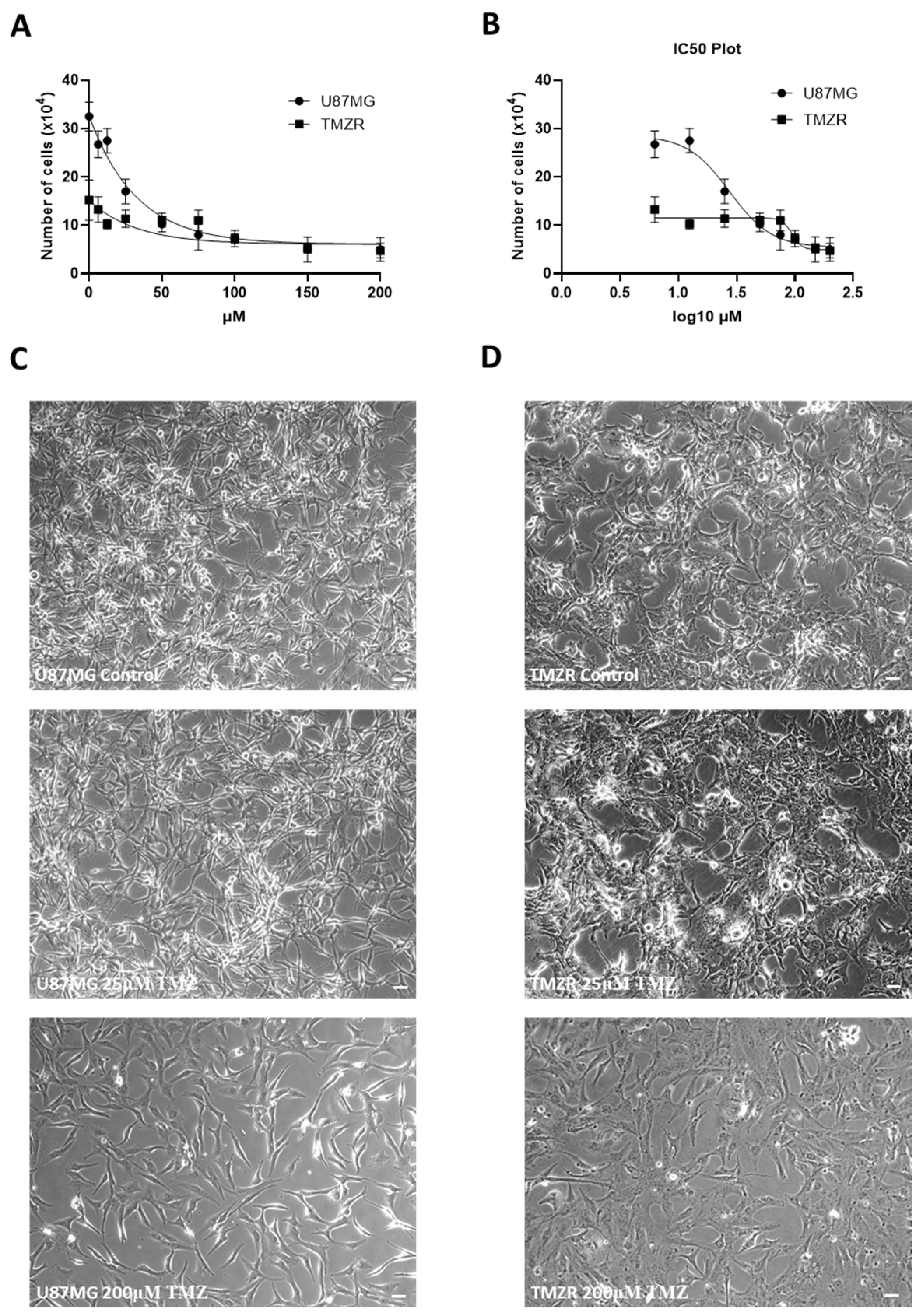 Biomedicines 11 00779 g001 Biomedicines 11 00779 g001
