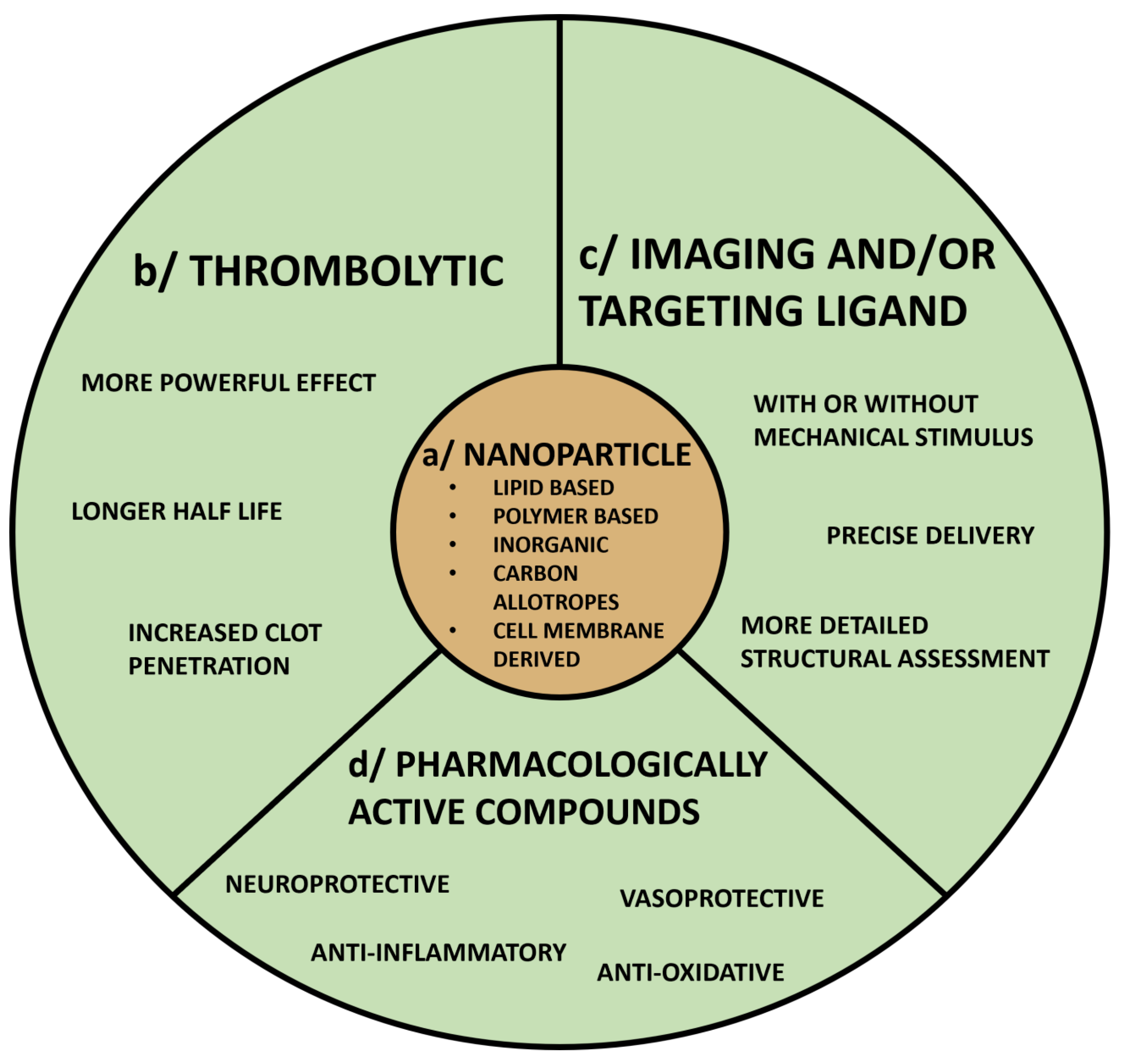 Biomedicines 11 00780 g005