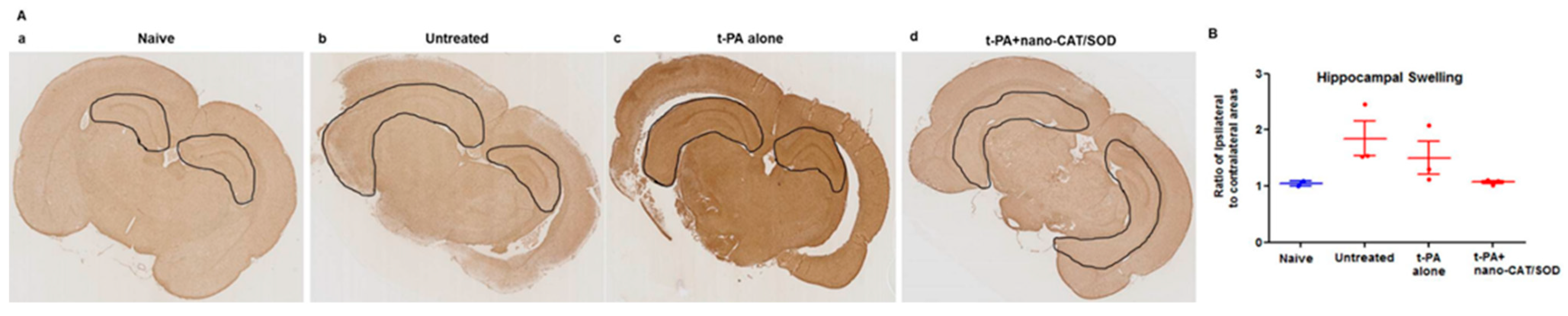 Biomedicines 11 00780 g006