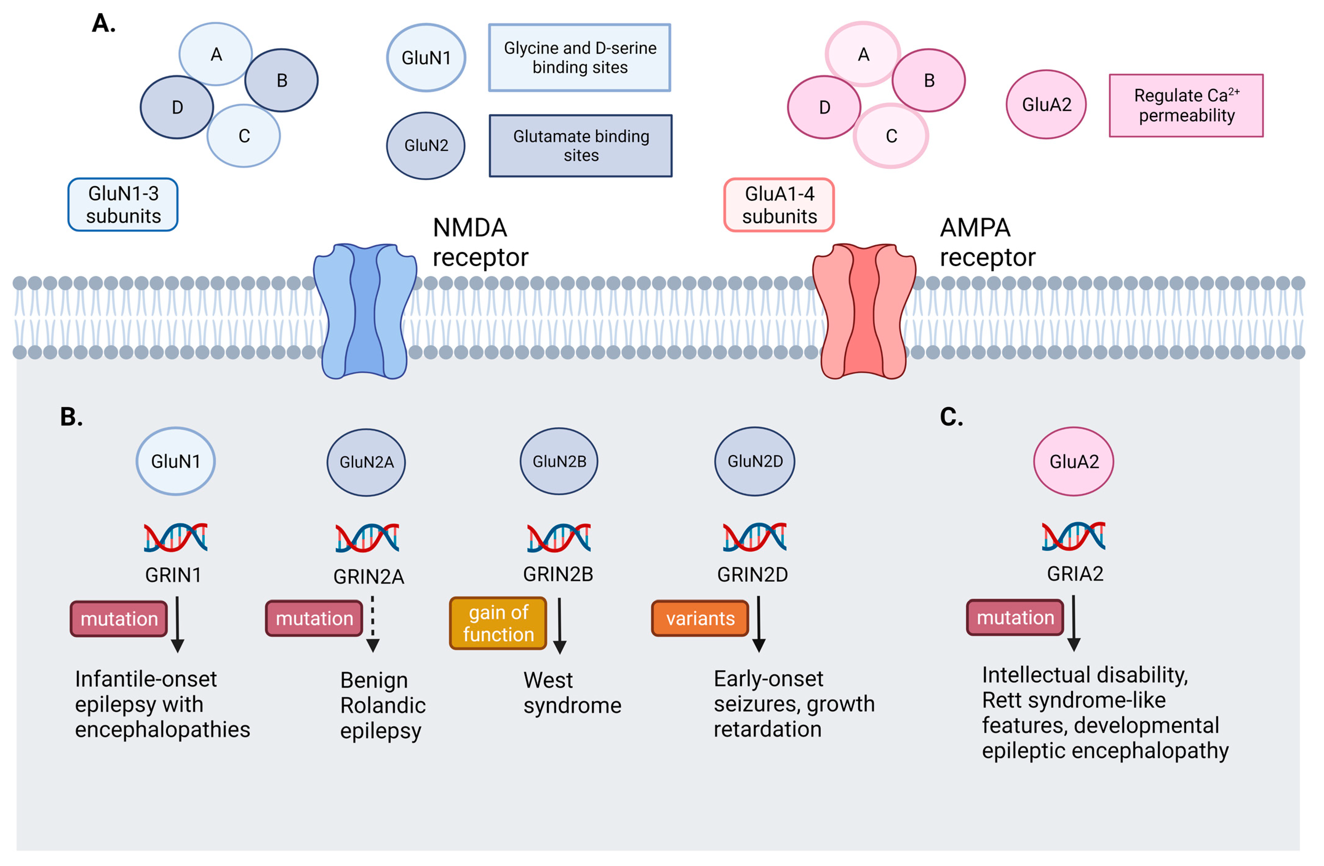 Biomedicines 11 00783 g002