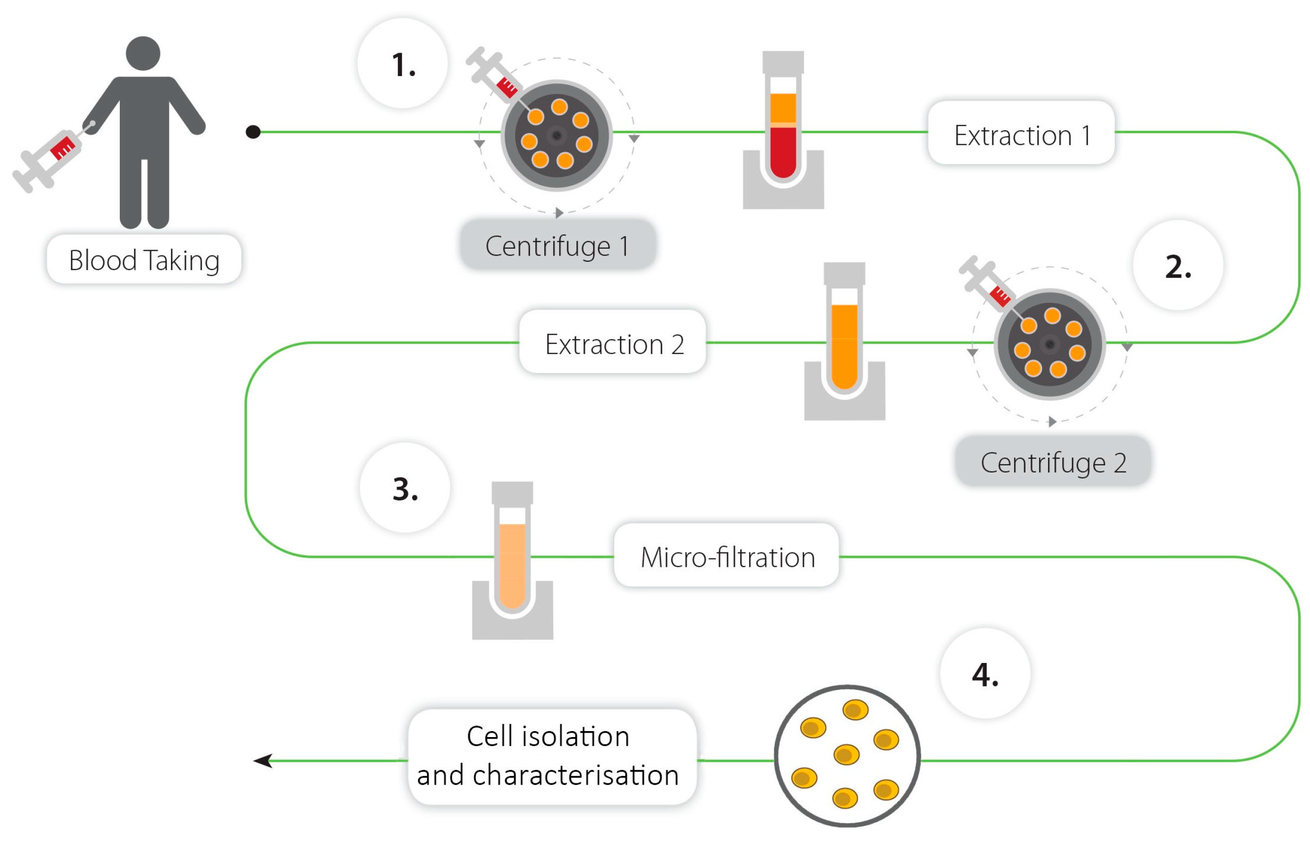 Biomedicines 11 00787 g001 Biomedicines 11 00787 g001
