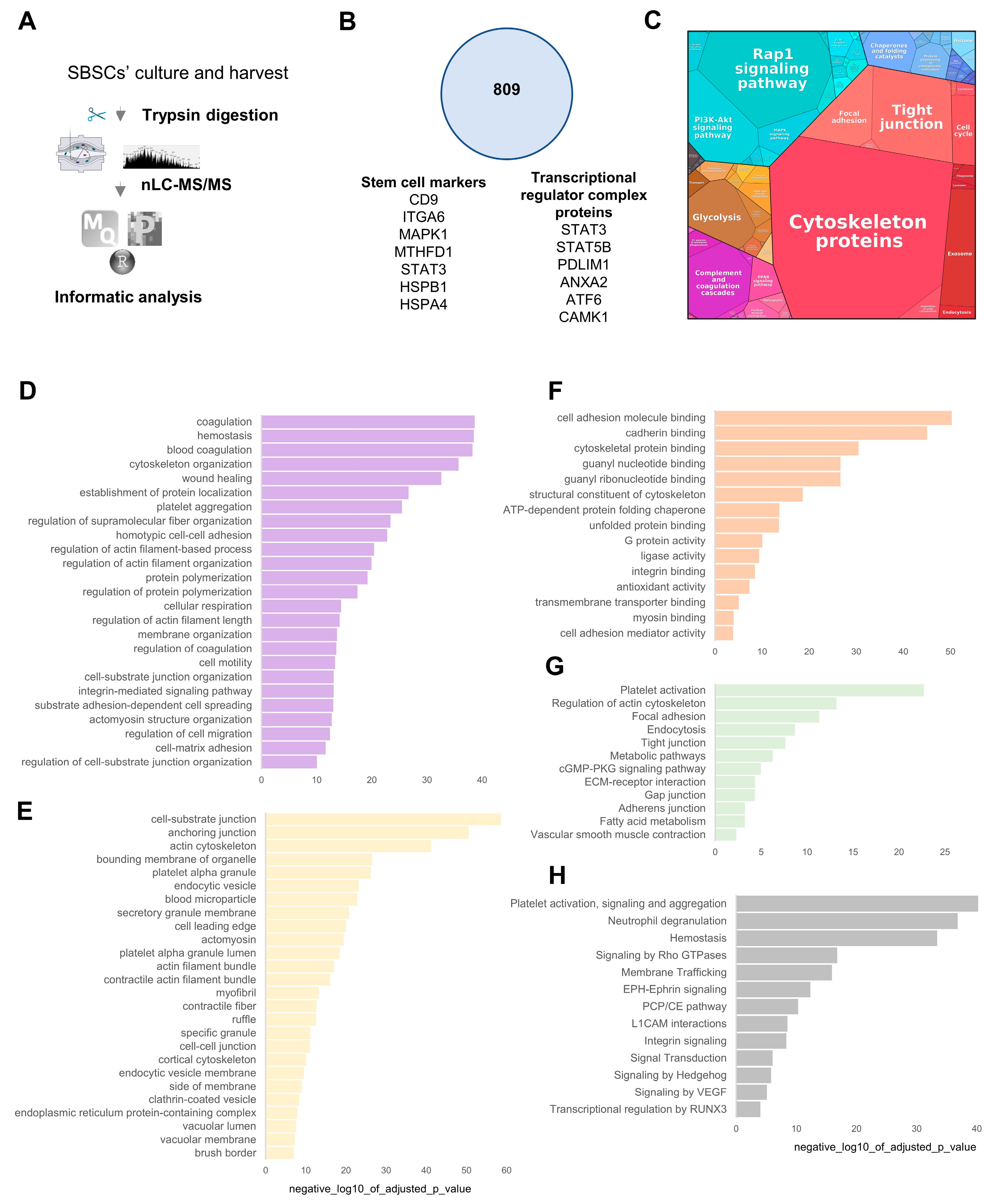 Biomedicines 11 00787 g008 Biomedicines 11 00787 g008