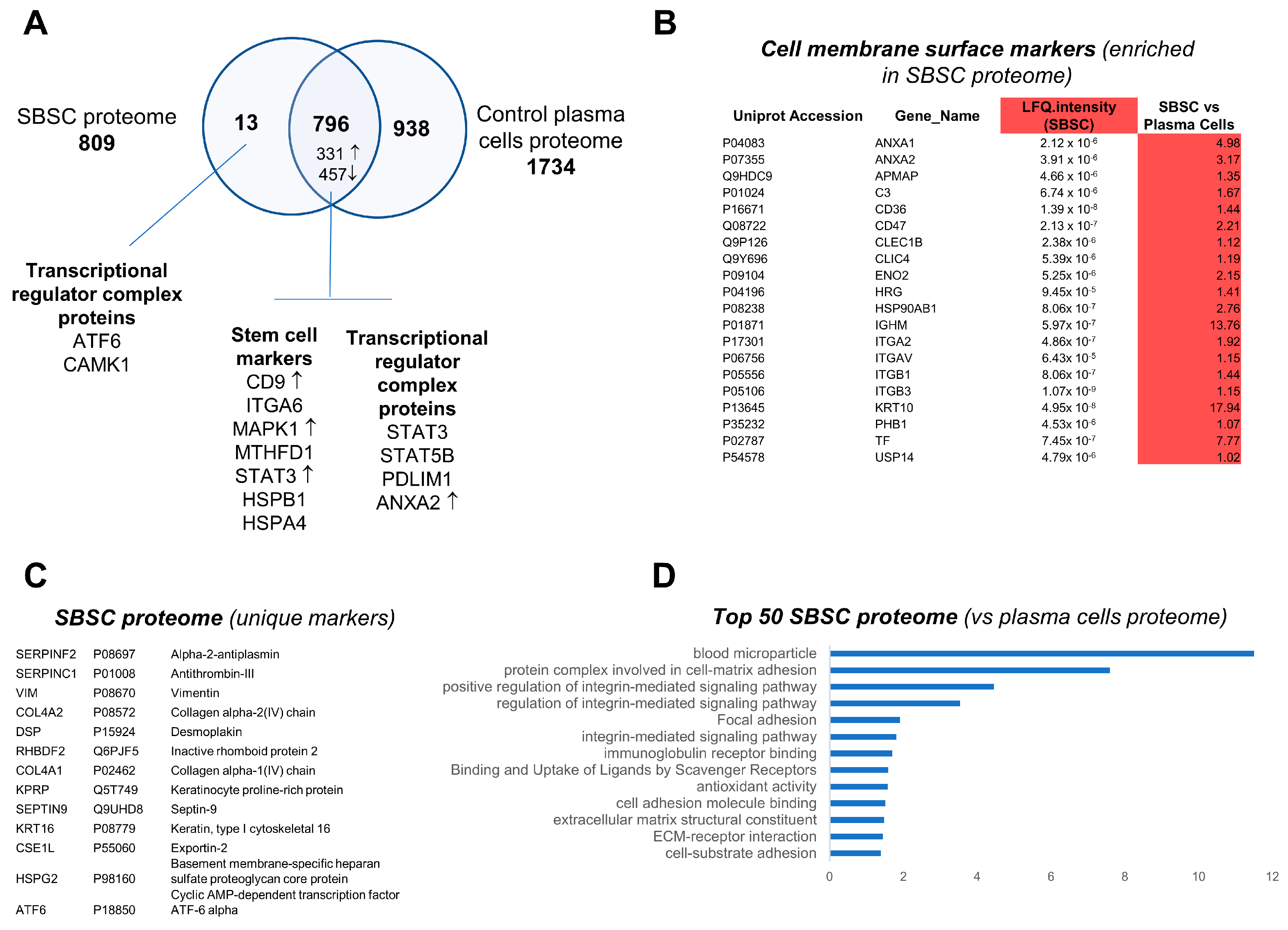 Biomedicines 11 00787 g009 Biomedicines 11 00787 g009