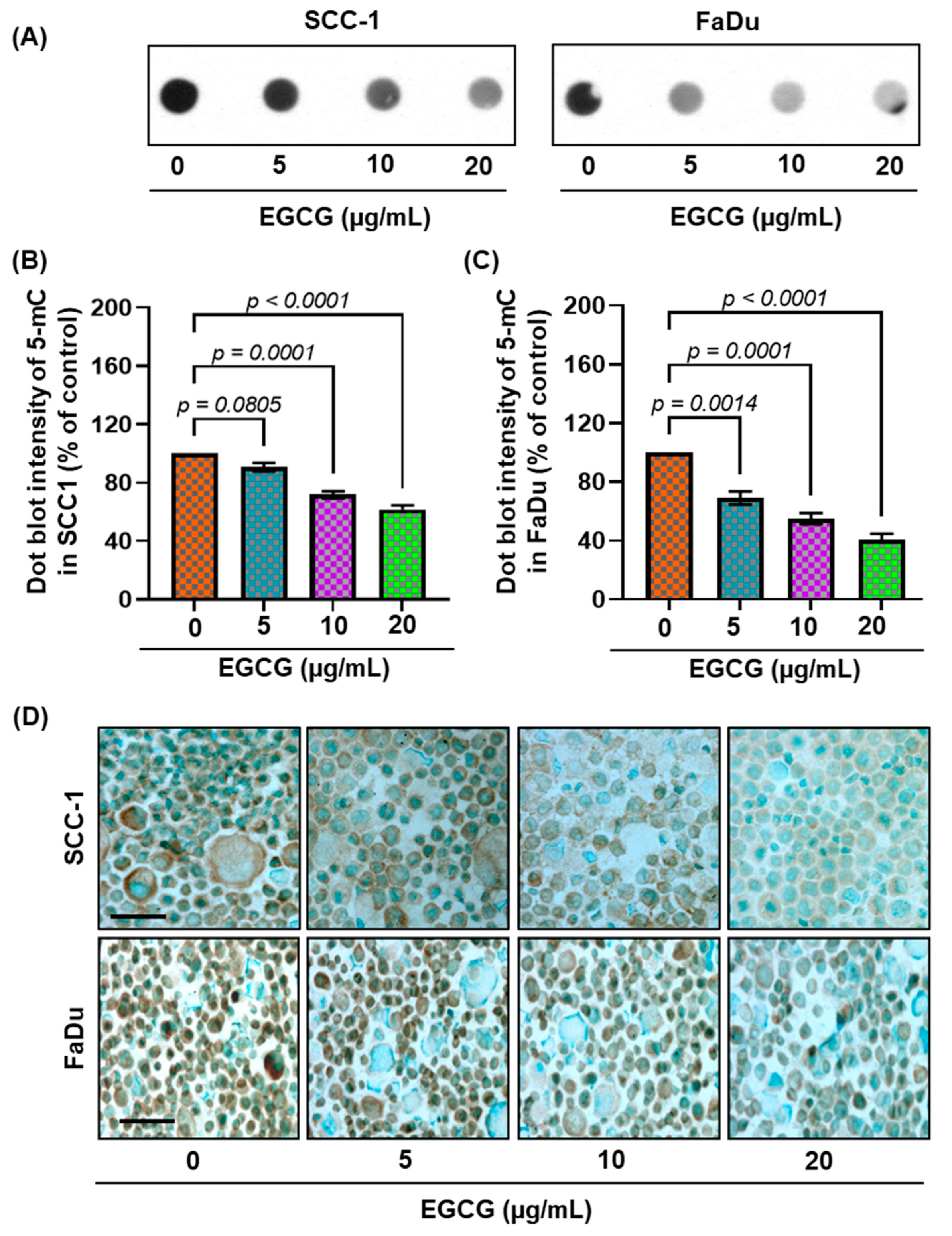 Biomedicines 11 00789 g002 Biomedicines 11 00789 g002