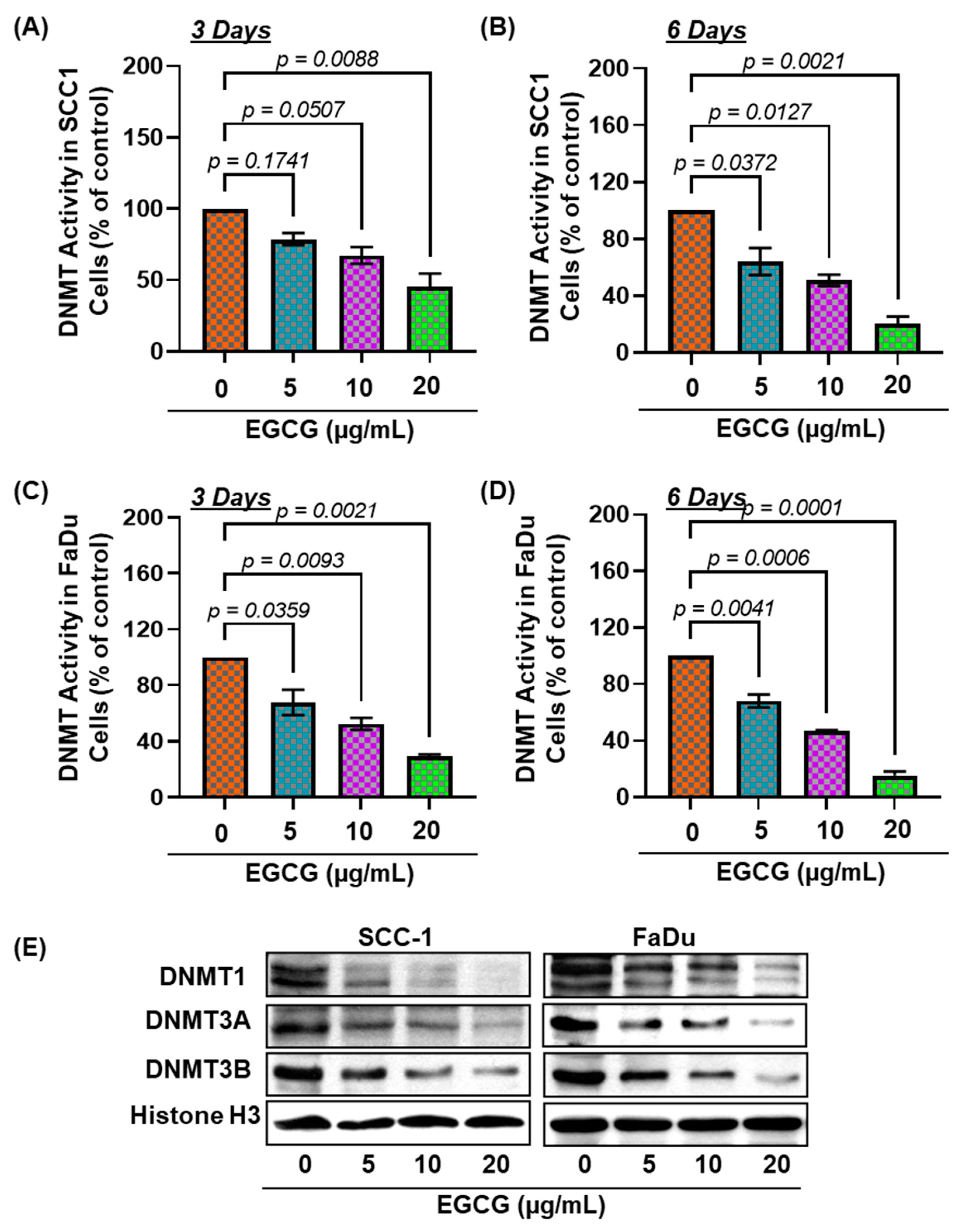 Biomedicines 11 00789 g003 Biomedicines 11 00789 g003
