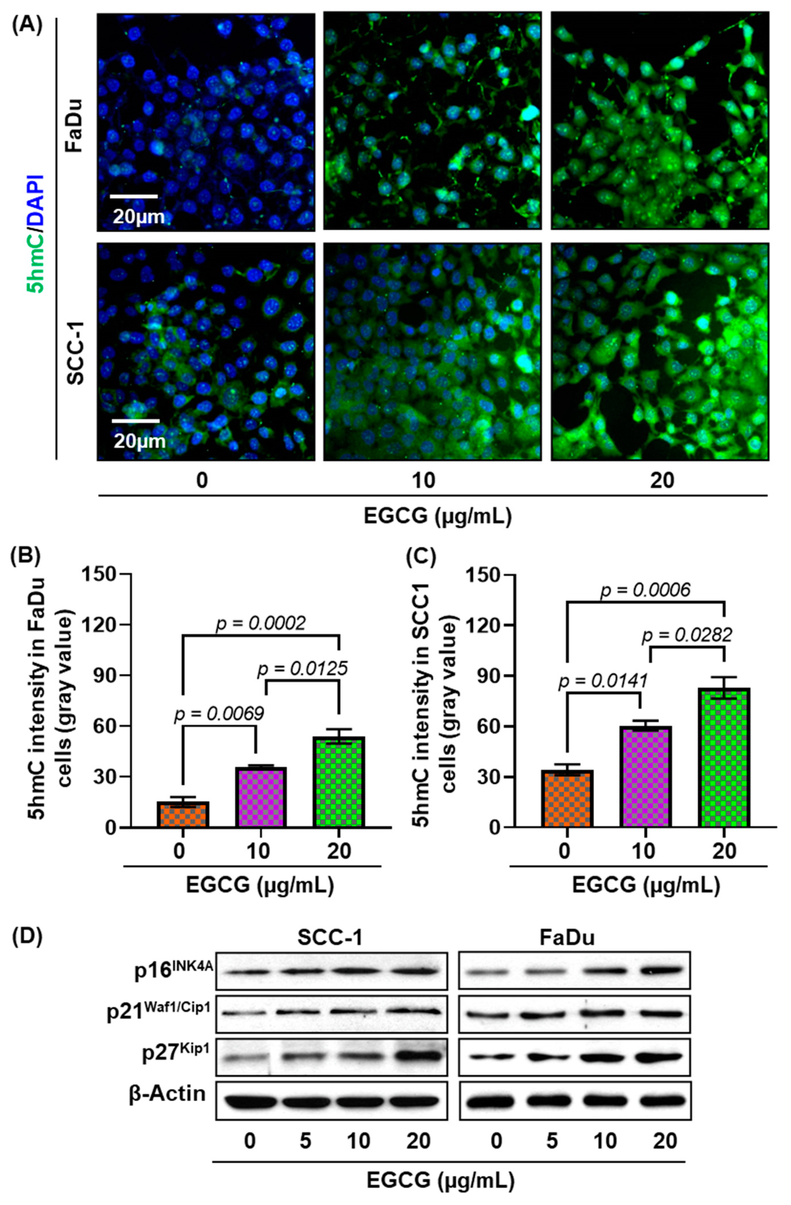 Biomedicines 11 00789 g005 Biomedicines 11 00789 g005