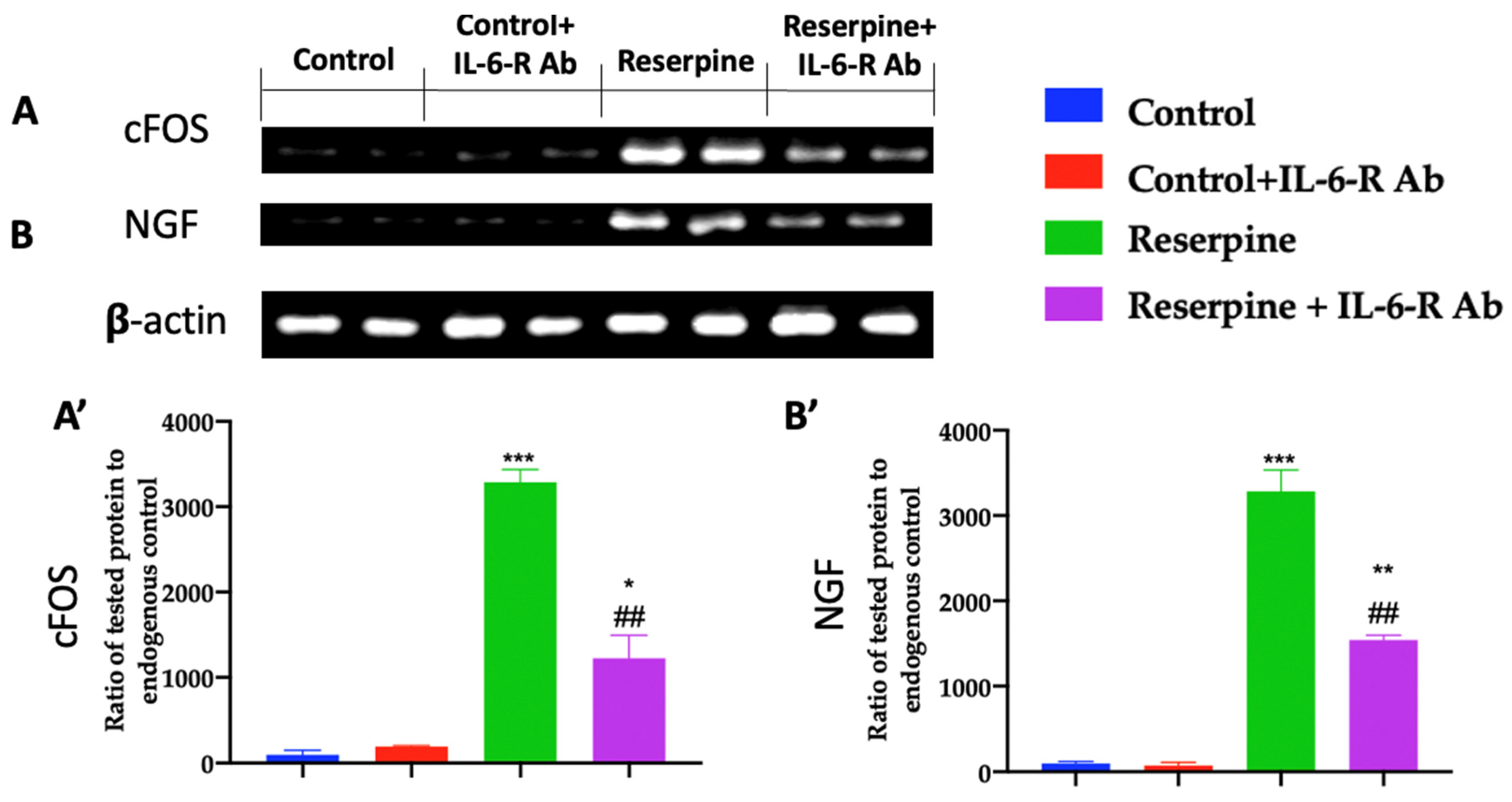 Biomedicines 11 00792 g003
