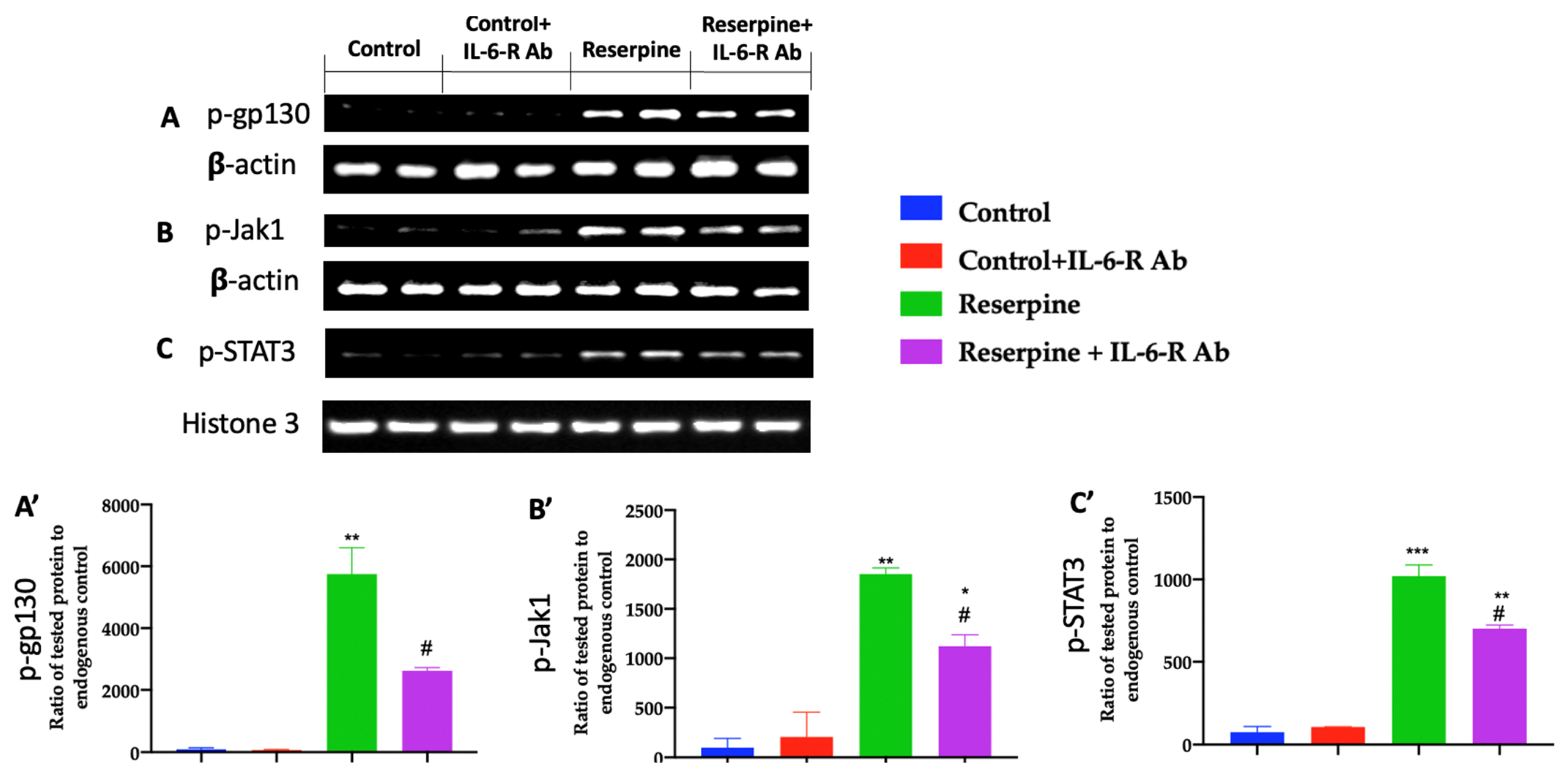 Biomedicines 11 00792 g005