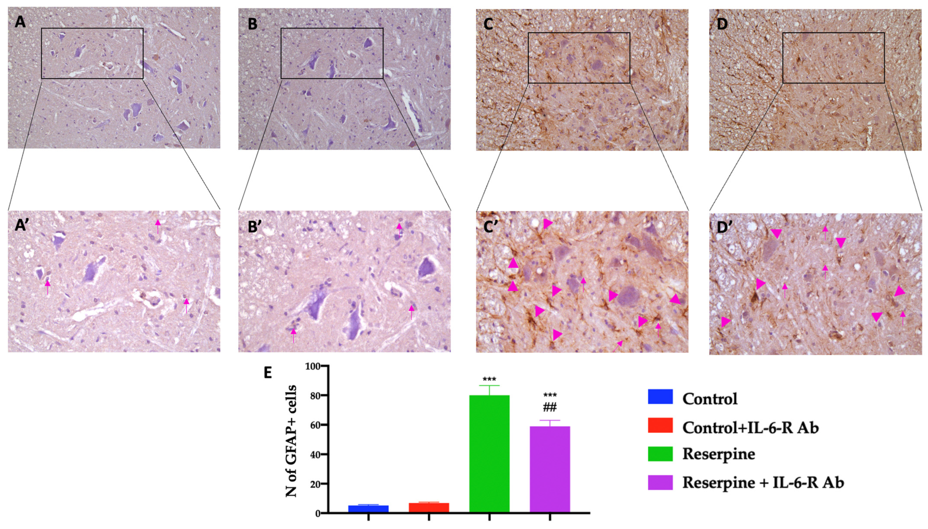 Biomedicines 11 00792 g006