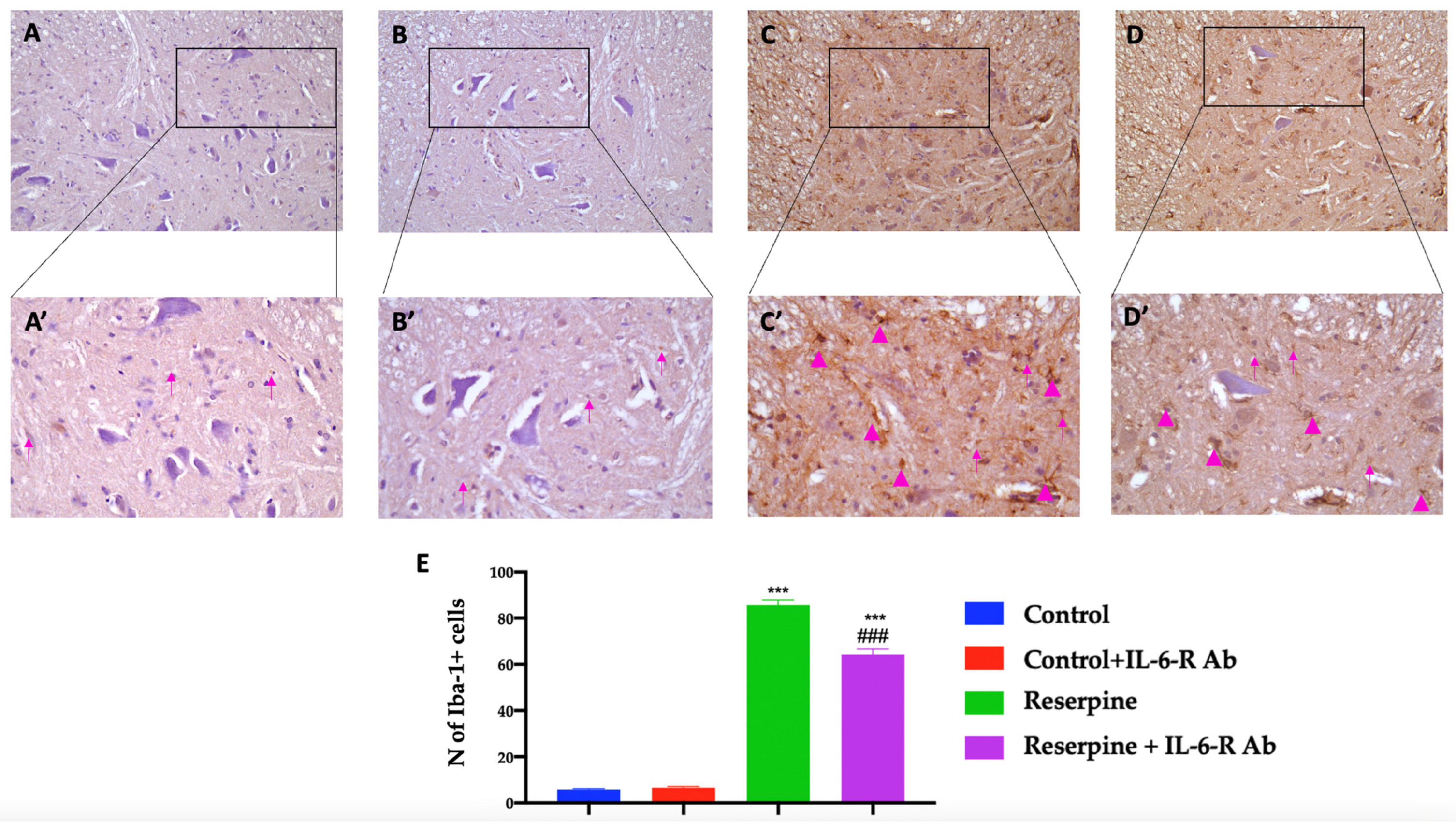 Biomedicines 11 00792 g007