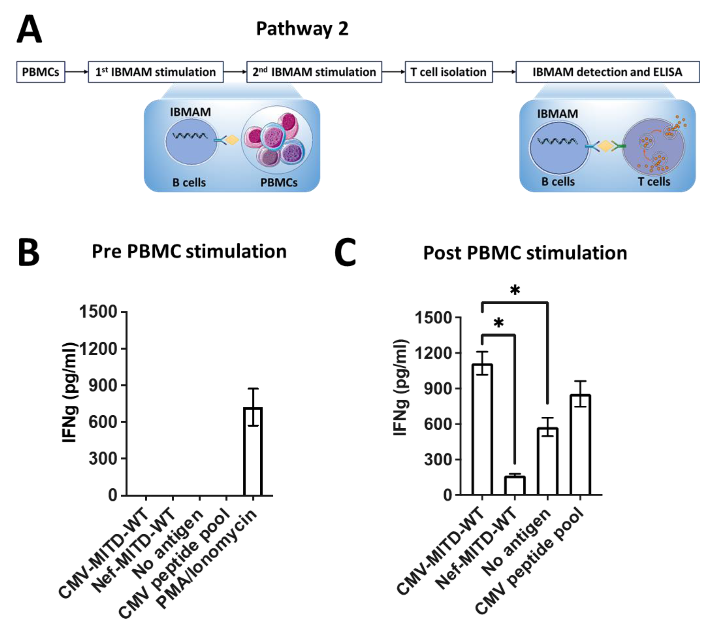 Biomedicines 11 00796 g006