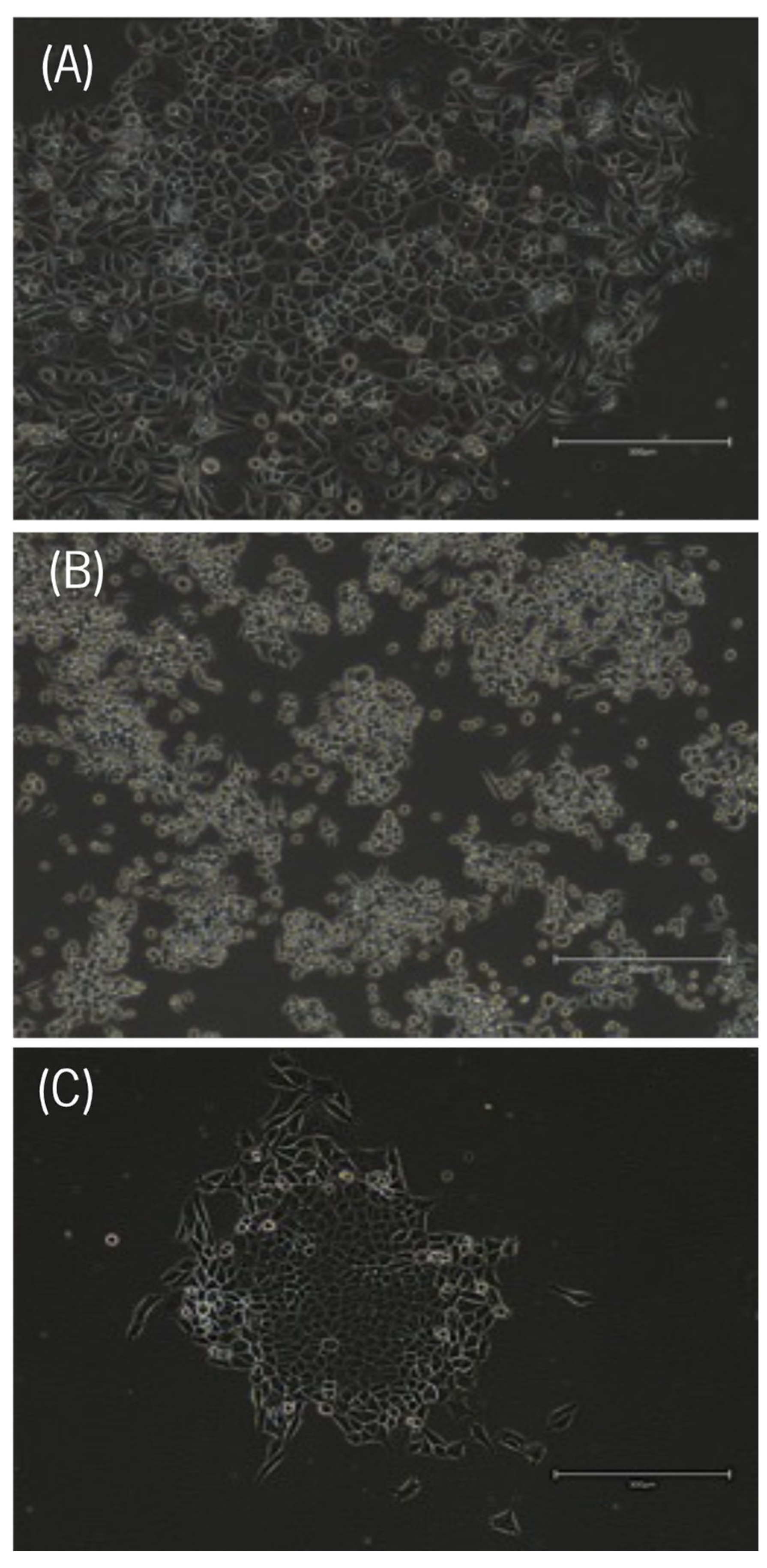 Biomedicines 11 00799 g002 Biomedicines 11 00799 g002