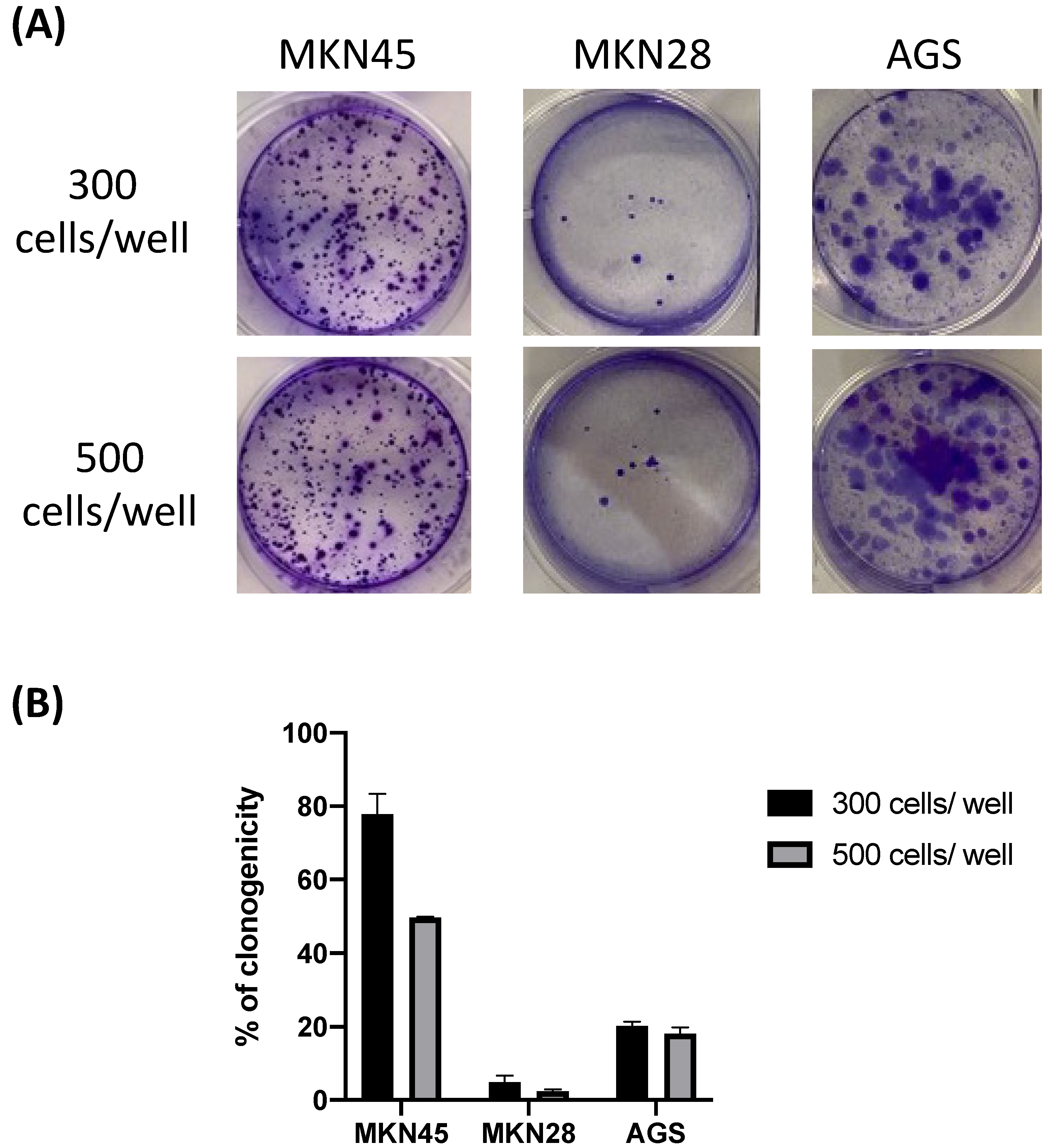 Biomedicines 11 00799 g003 Biomedicines 11 00799 g003