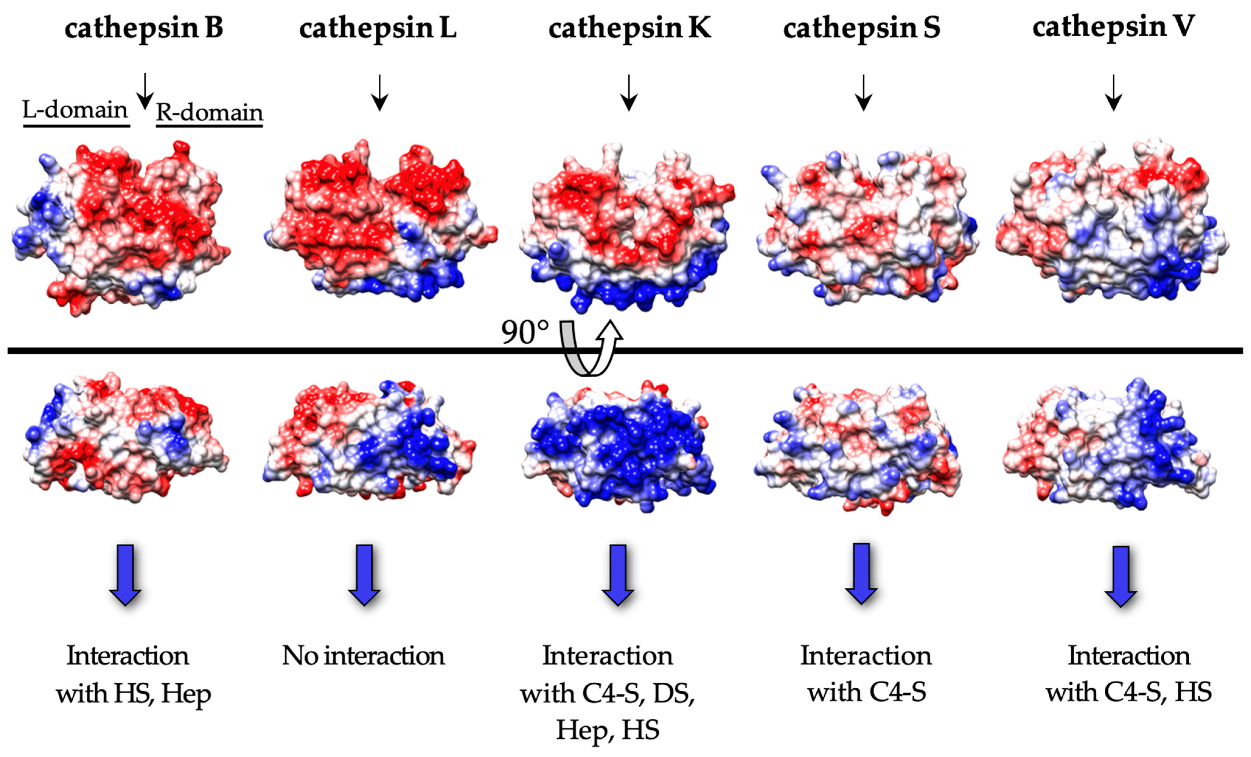 Biomedicines 11 00810 g004