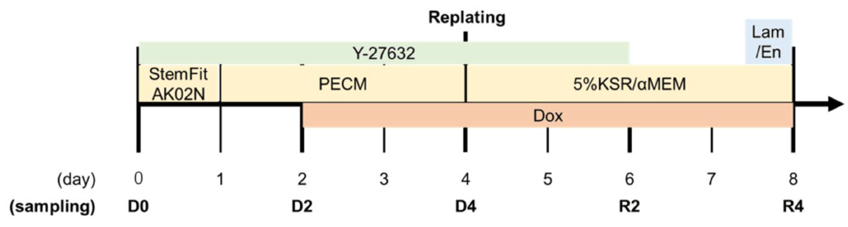 Biomedicines 11 00814 g001 Biomedicines 11 00814 g001