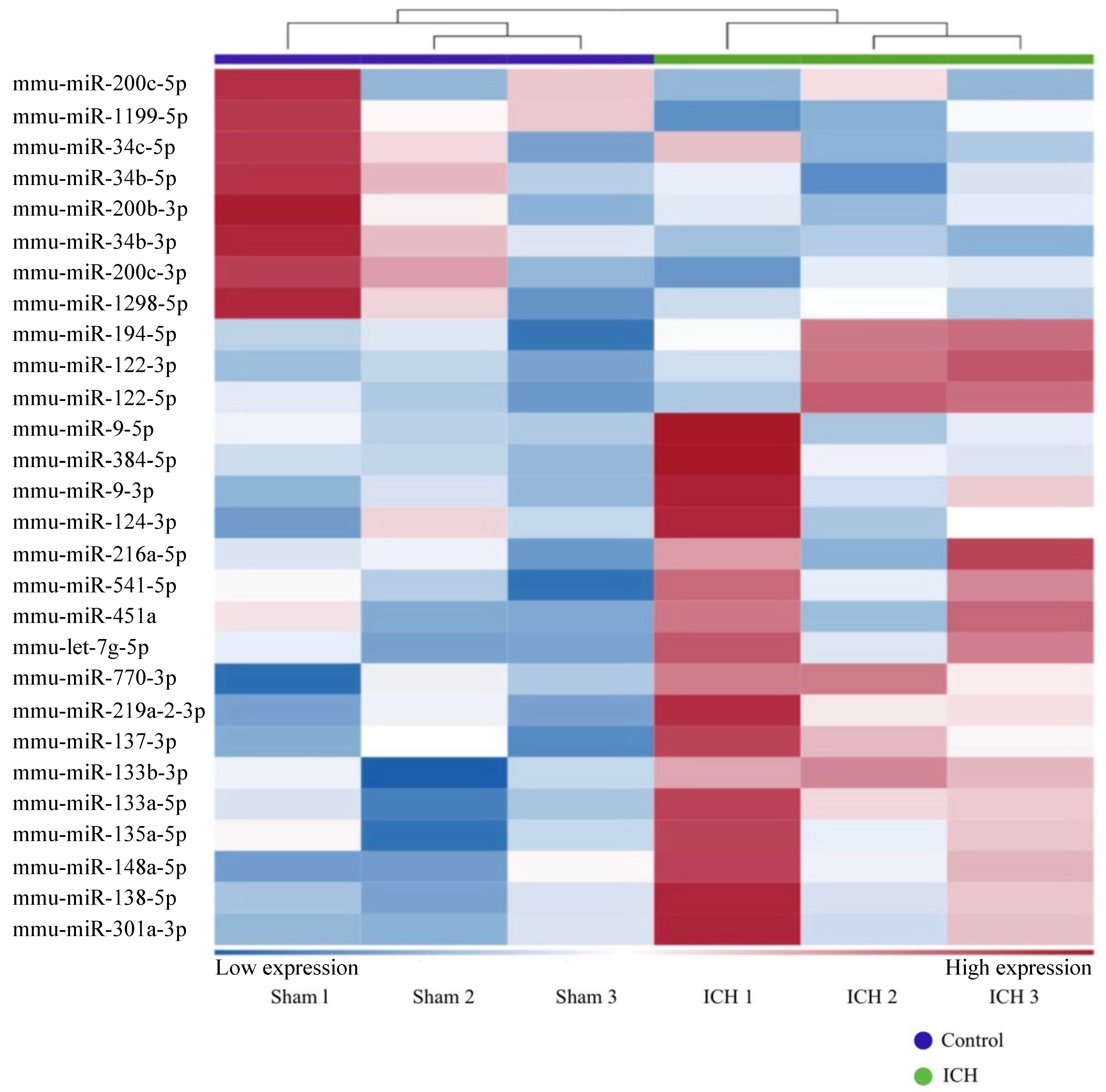Biomedicines 11 00822 g002