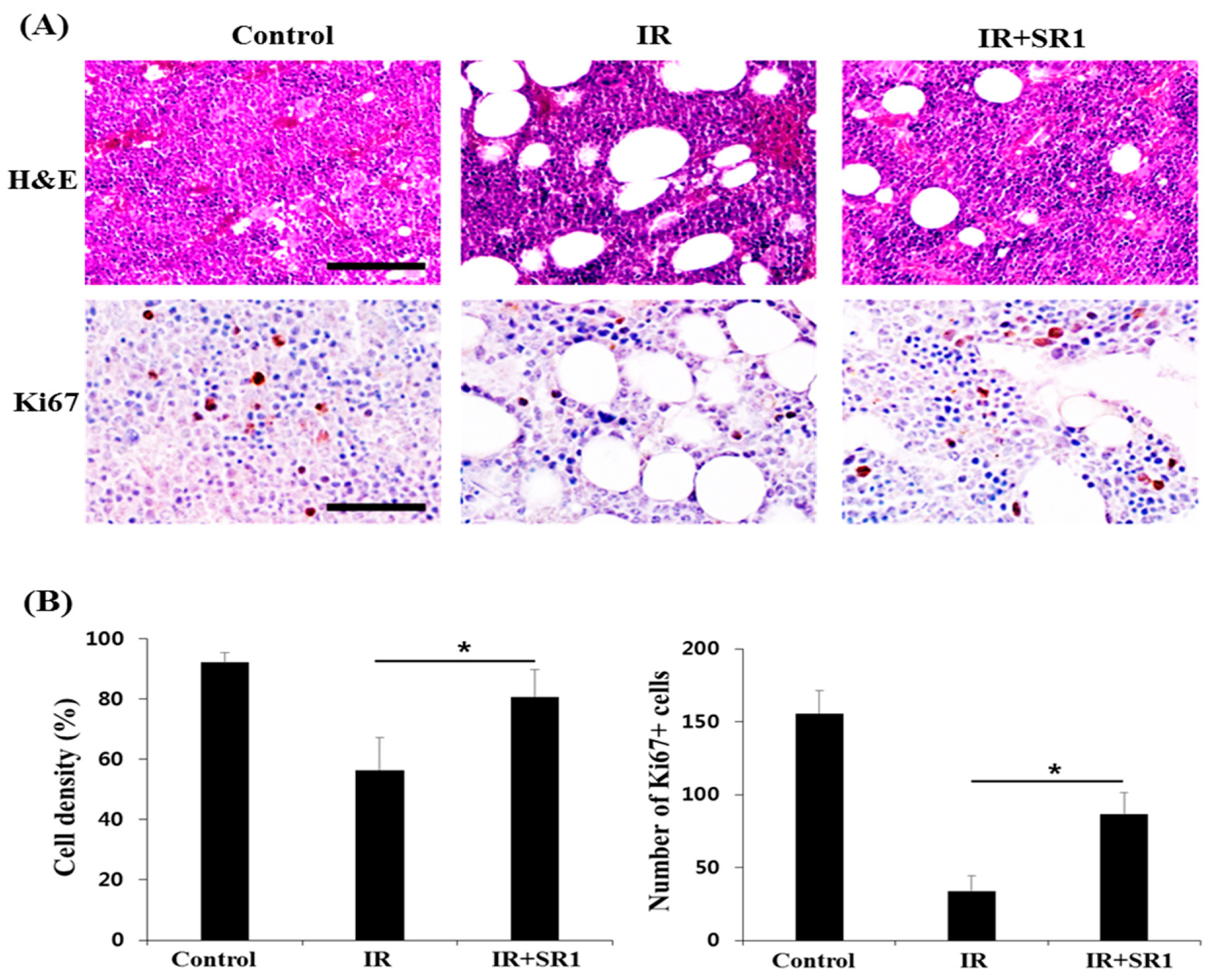 Biomedicines 11 00824 g002 Biomedicines 11 00824 g002