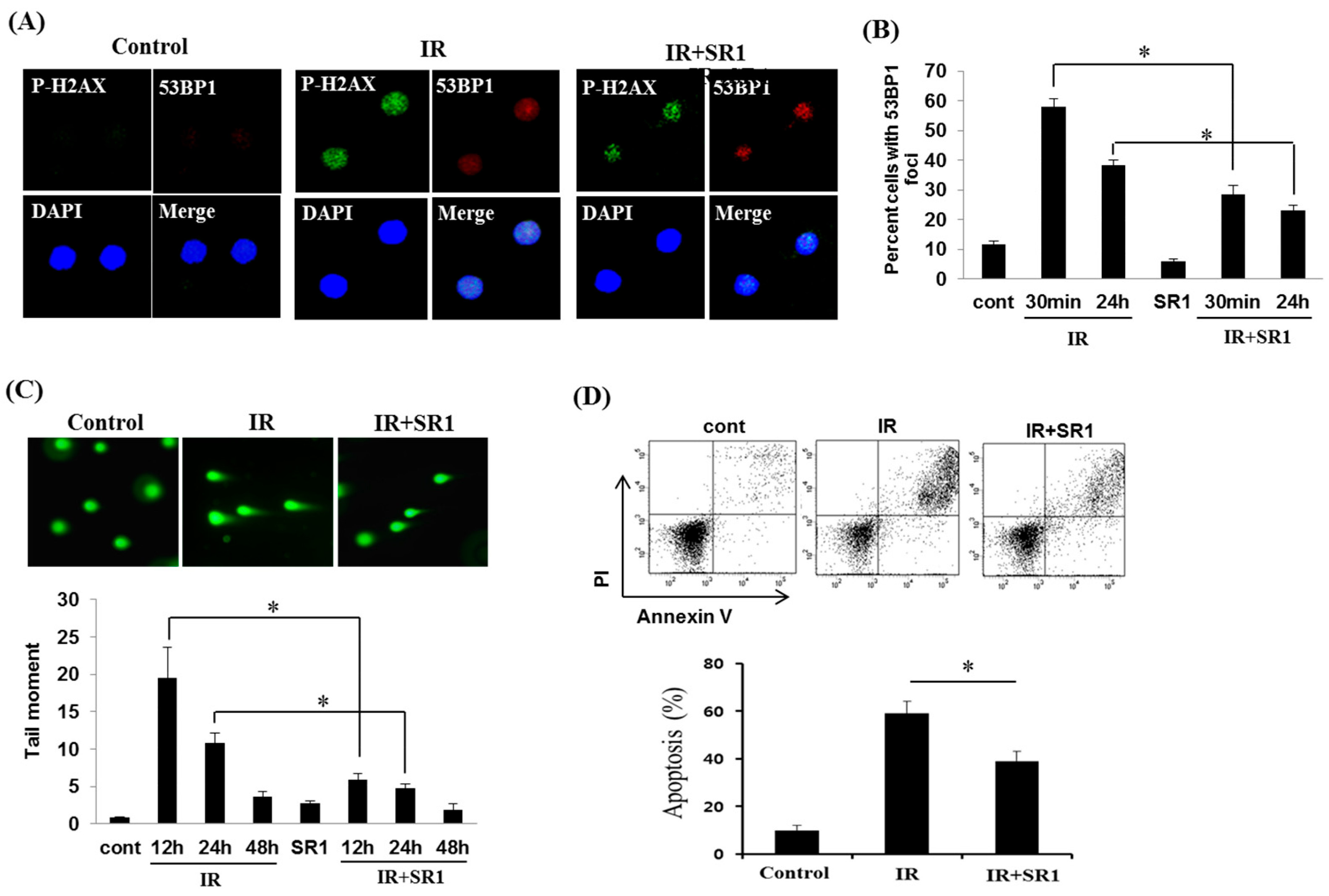 Biomedicines 11 00824 g004 Biomedicines 11 00824 g004