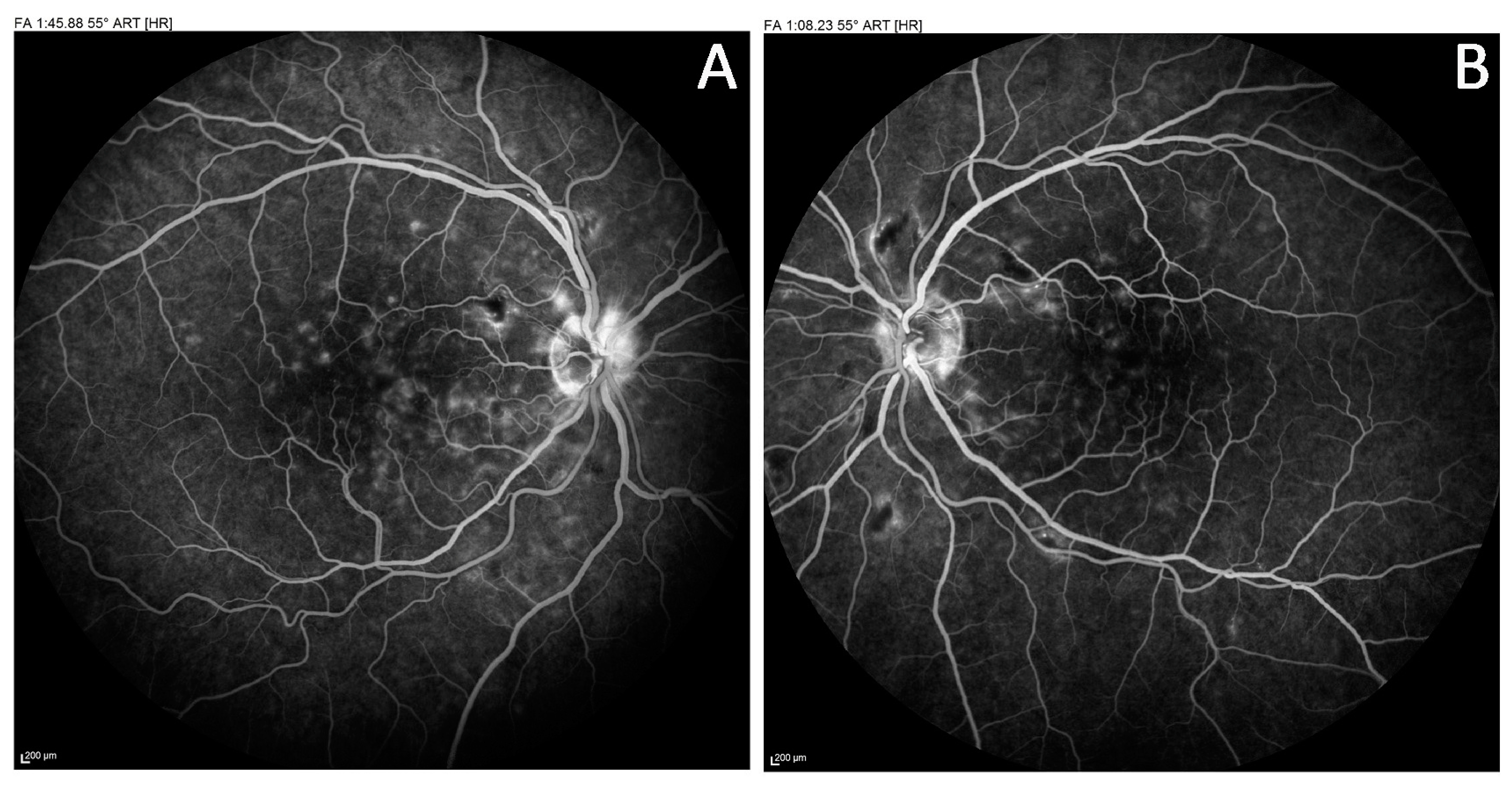 Biomedicines 11 00839 g006