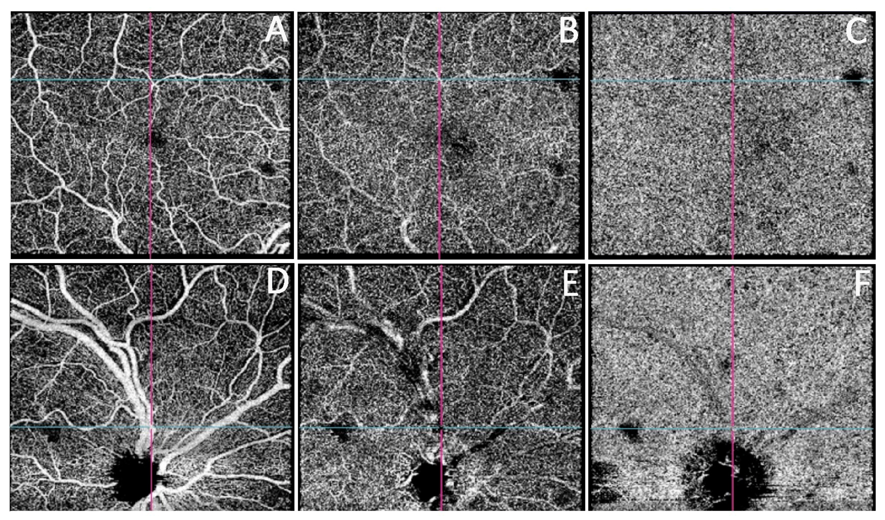 Biomedicines 11 00839 g007