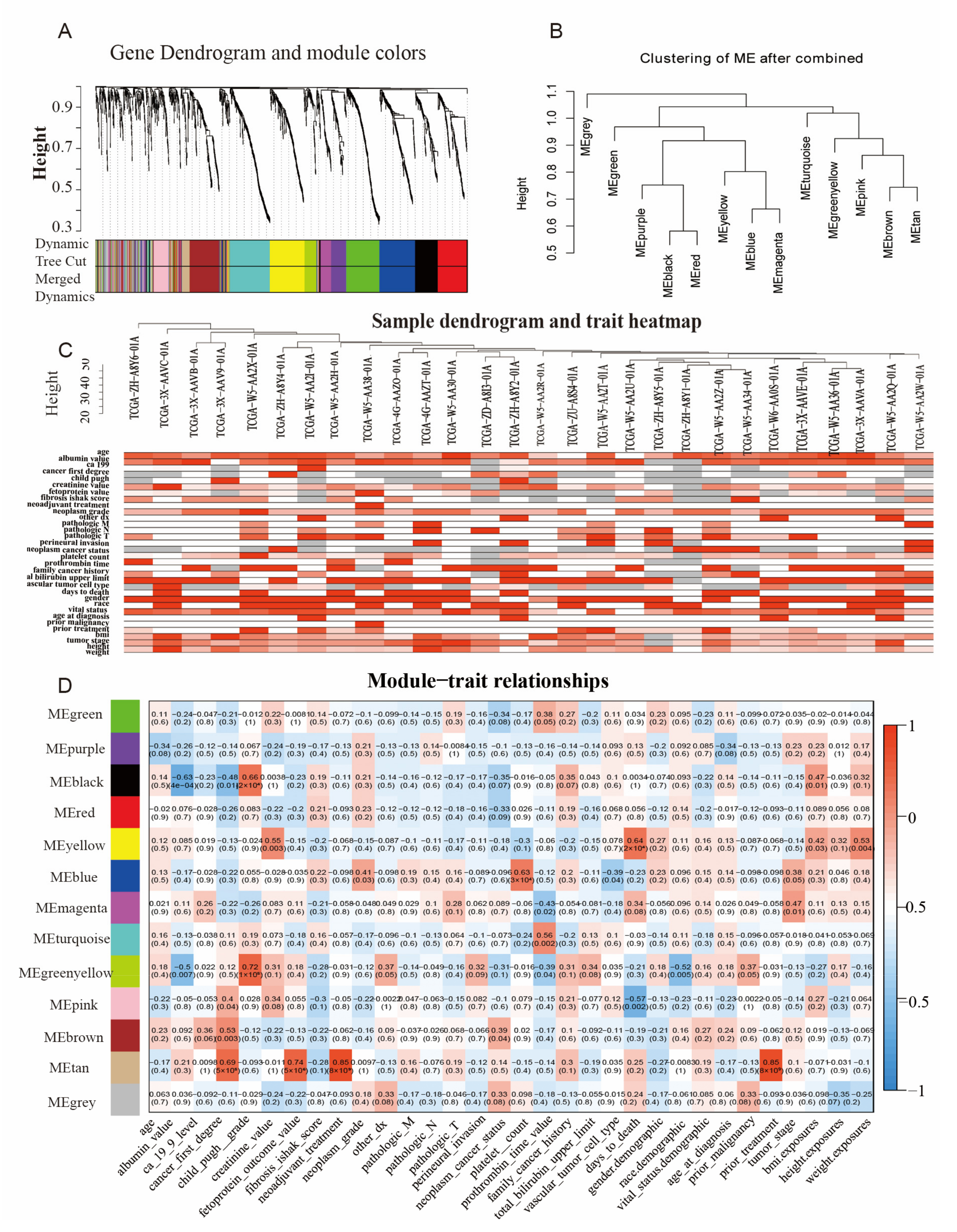 Biomedicines 11 00847 g004
