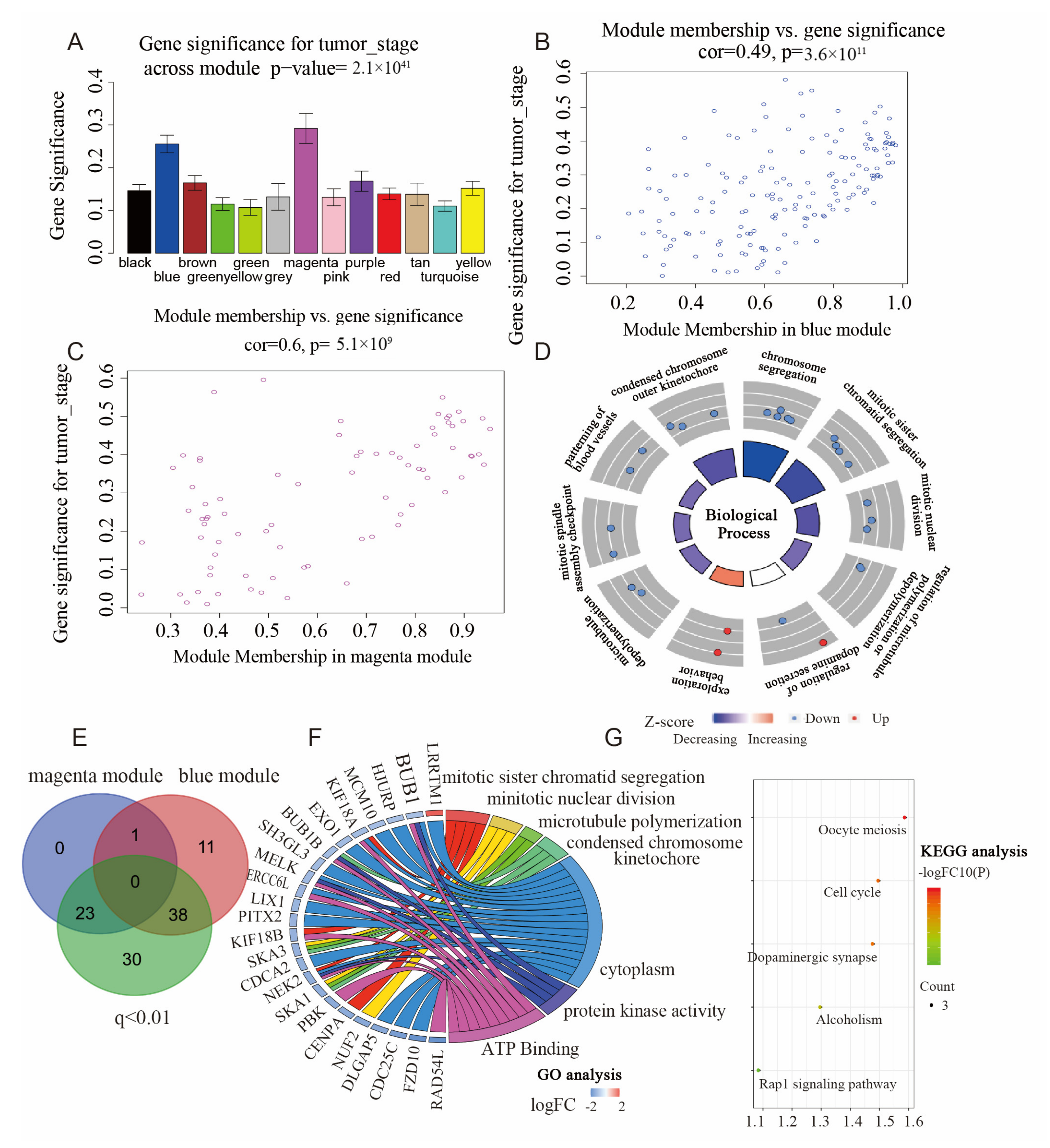 Biomedicines 11 00847 g005
