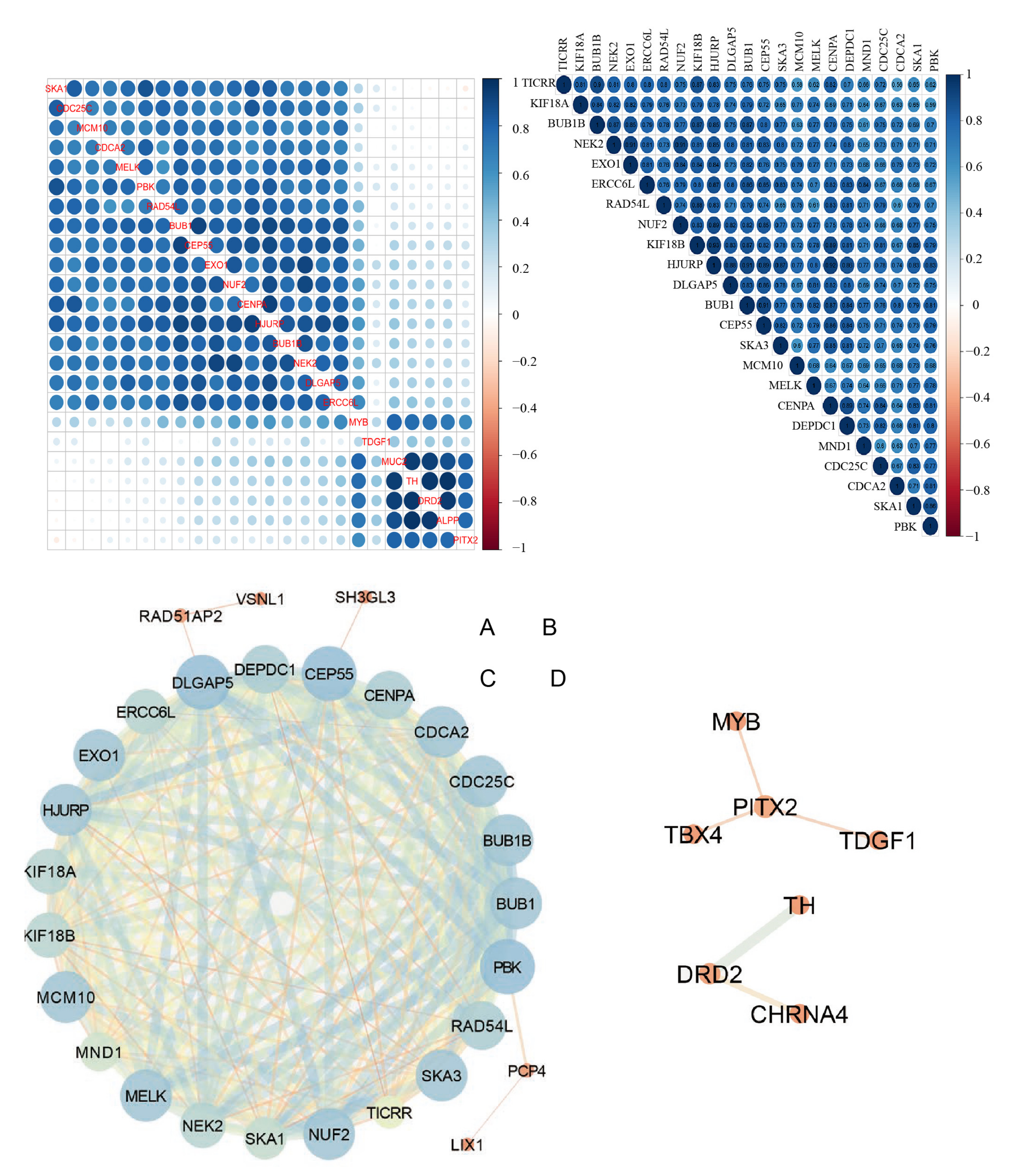 Biomedicines 11 00847 g006
