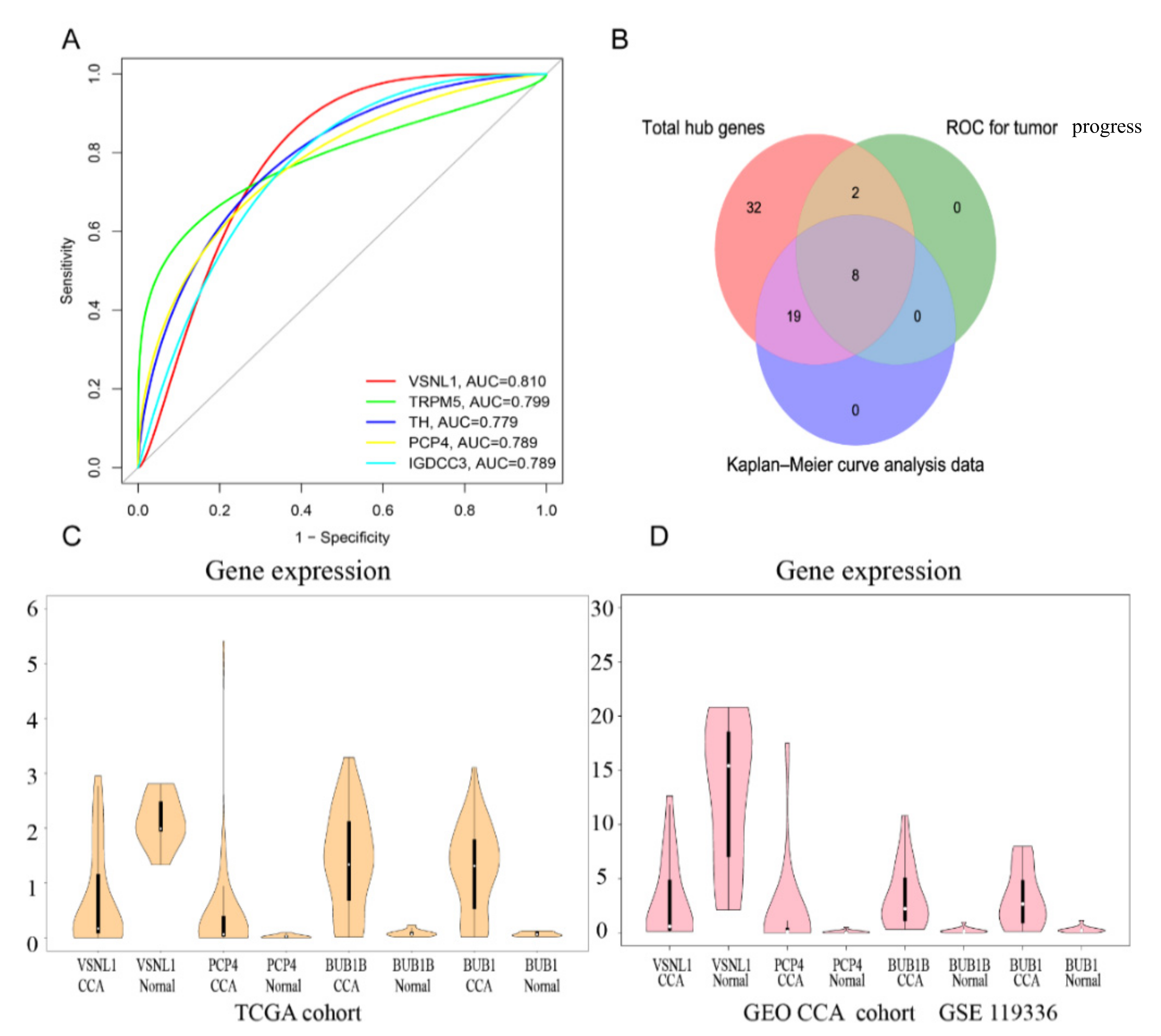 Biomedicines 11 00847 g007