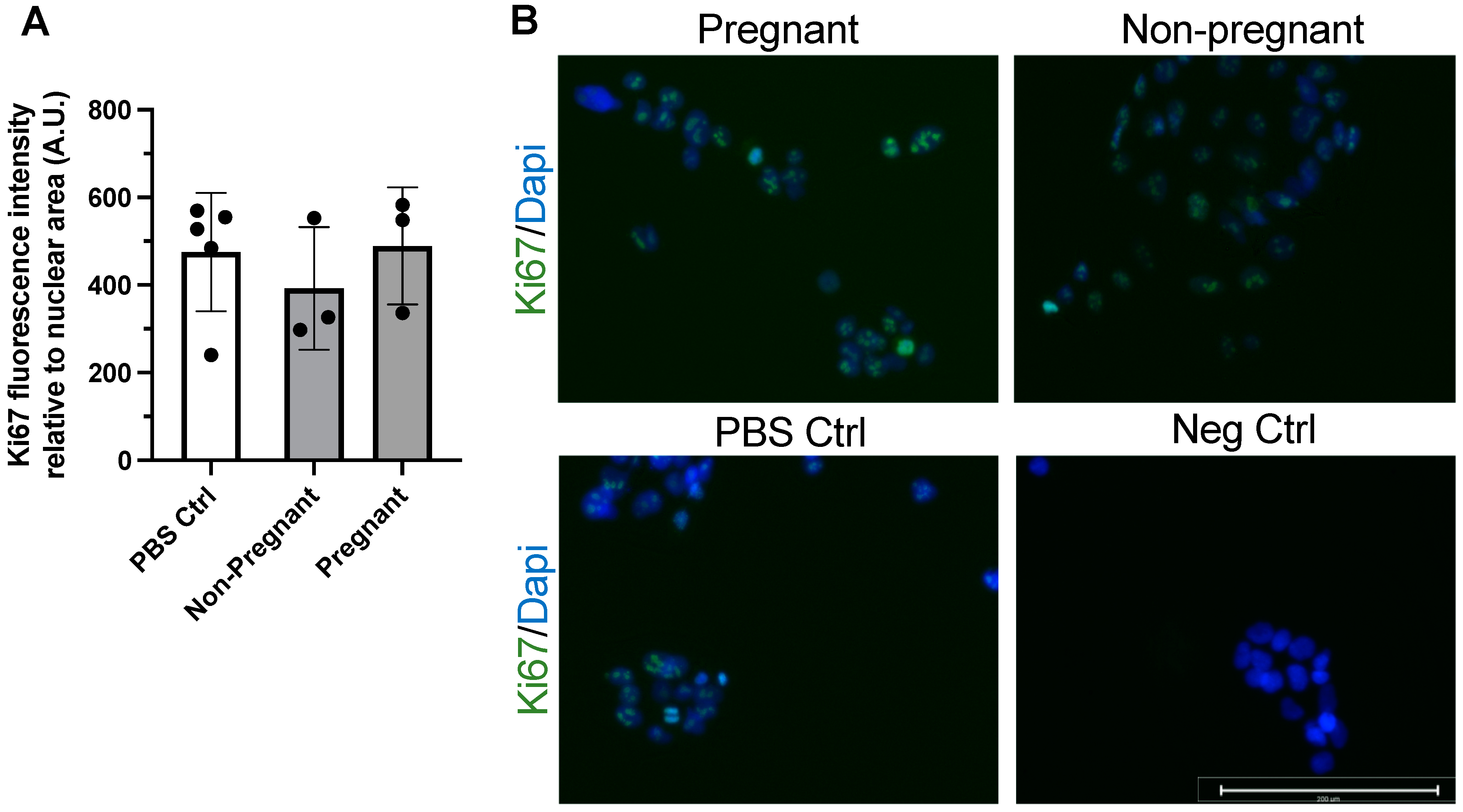 Biomedicines 11 00857 g002