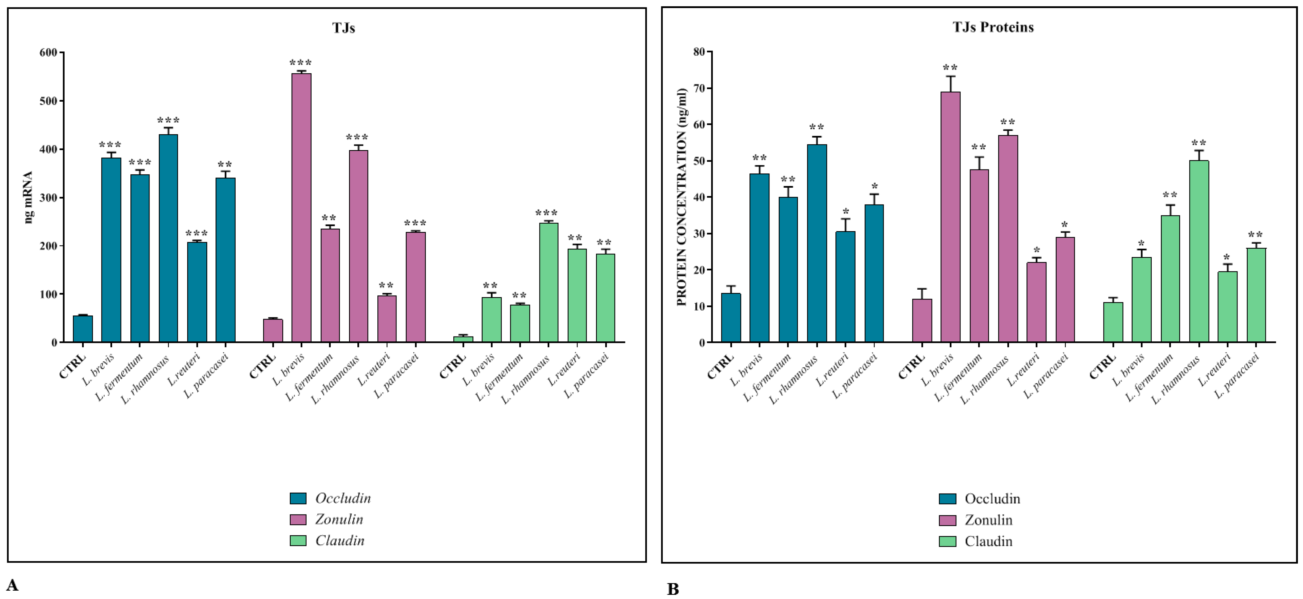 Biomedicines 11 00865 g001