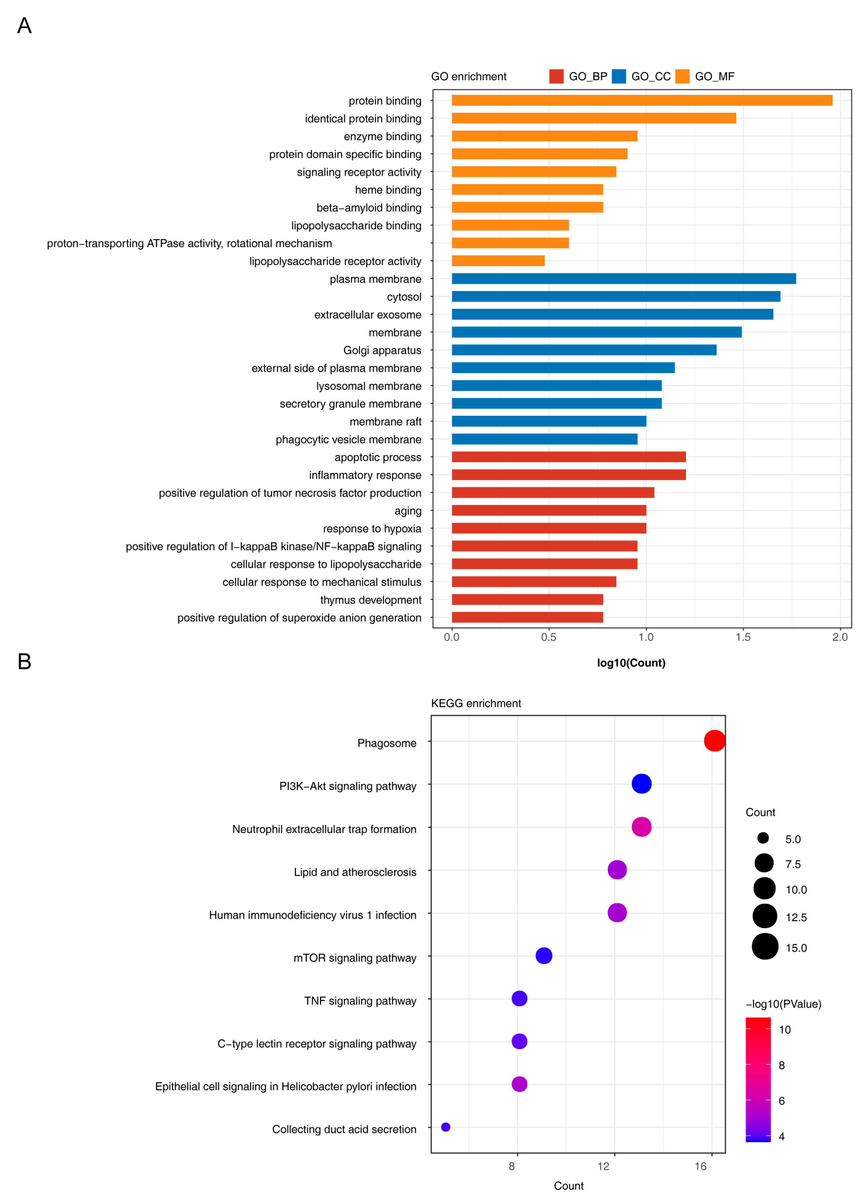 Biomedicines 11 00873 g004