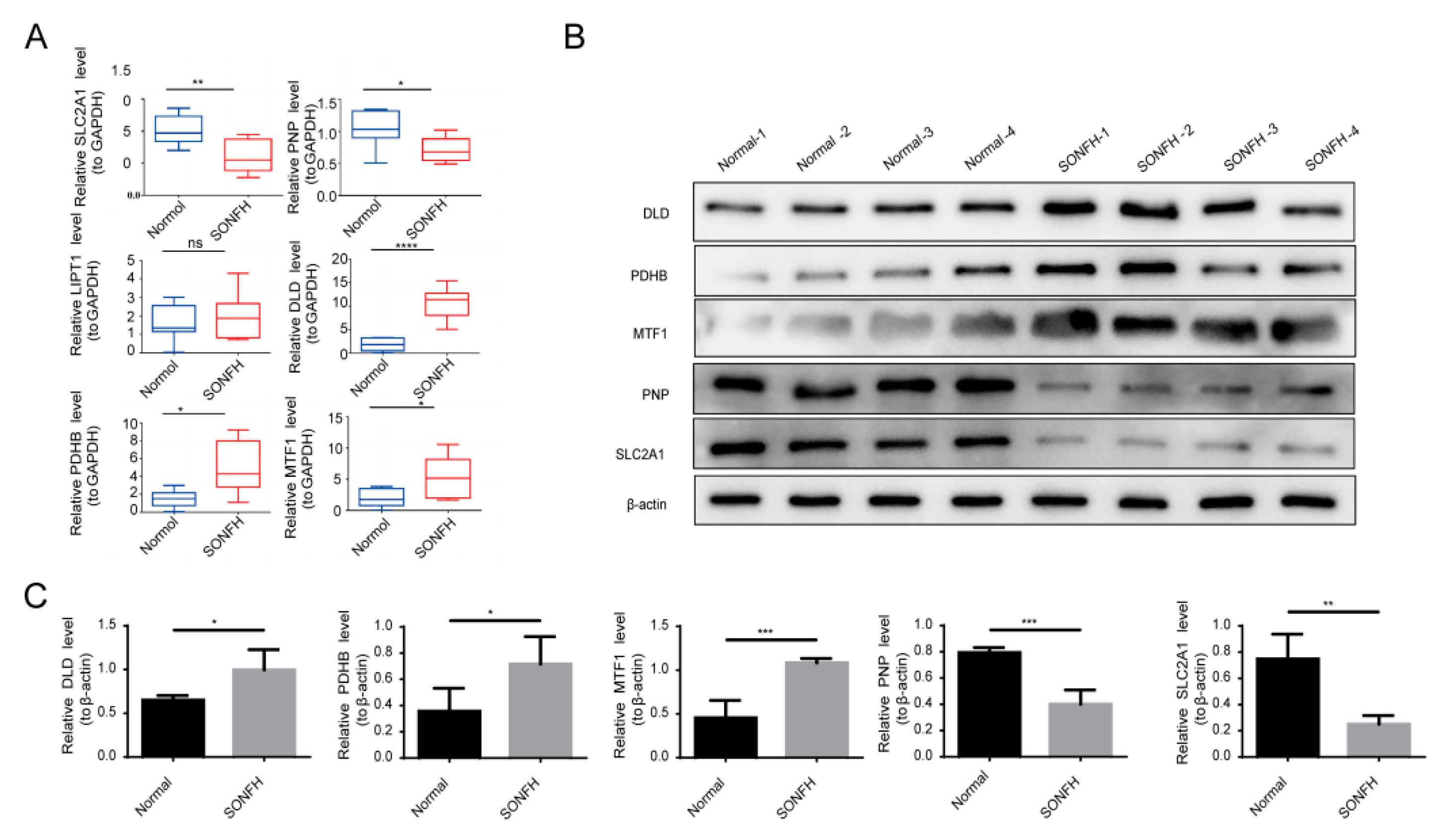 Biomedicines 11 00873 g011