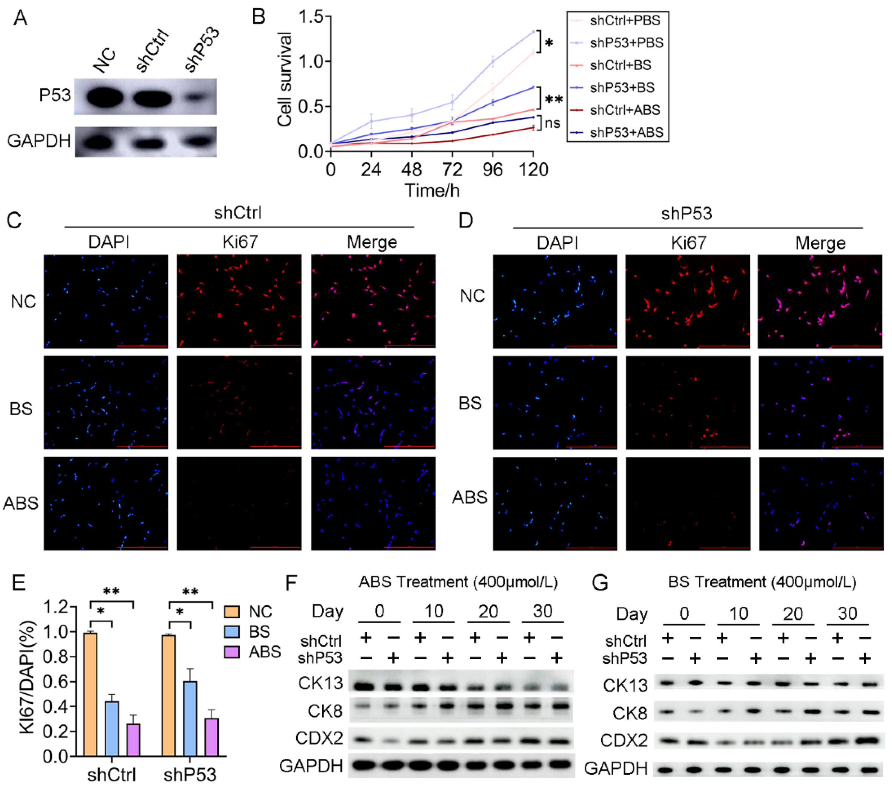 Biomedicines 11 00882 g002