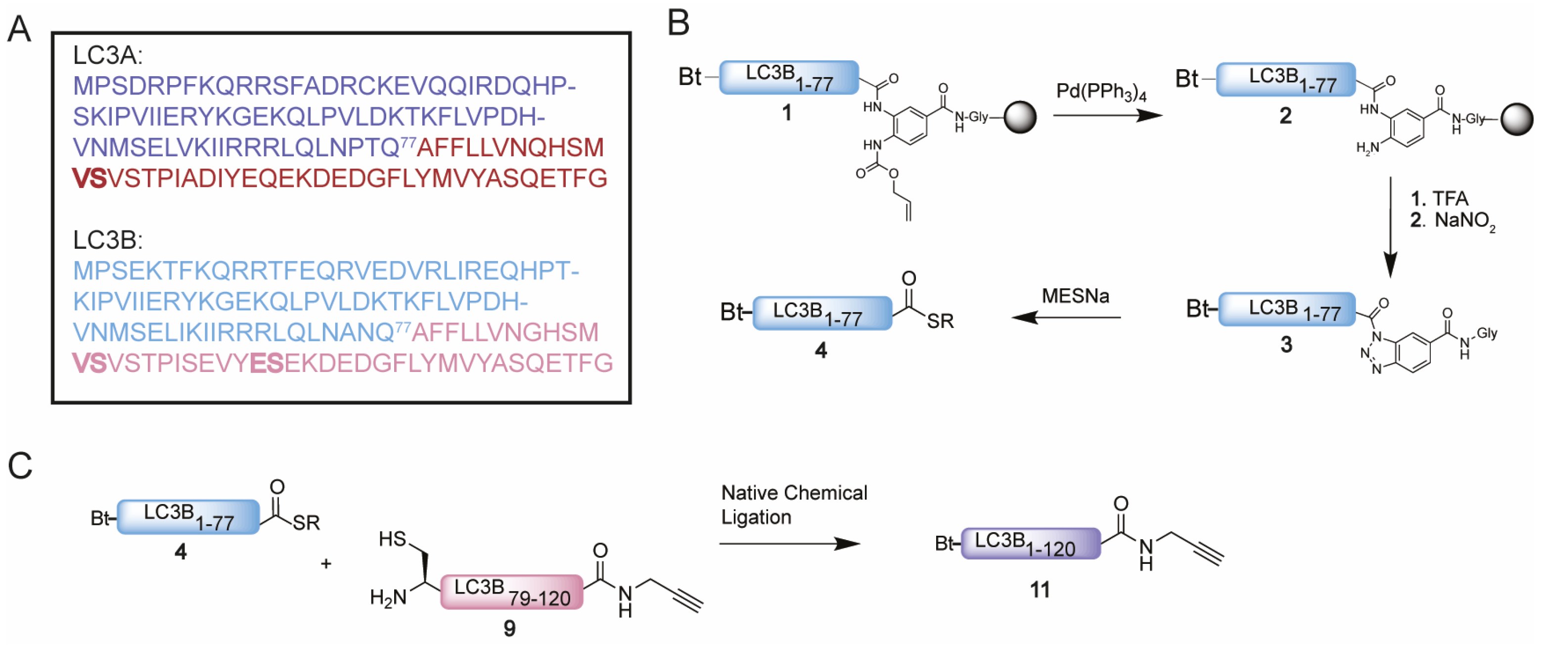 Biomedicines 11 00884 g002 Biomedicines 11 00884 g002