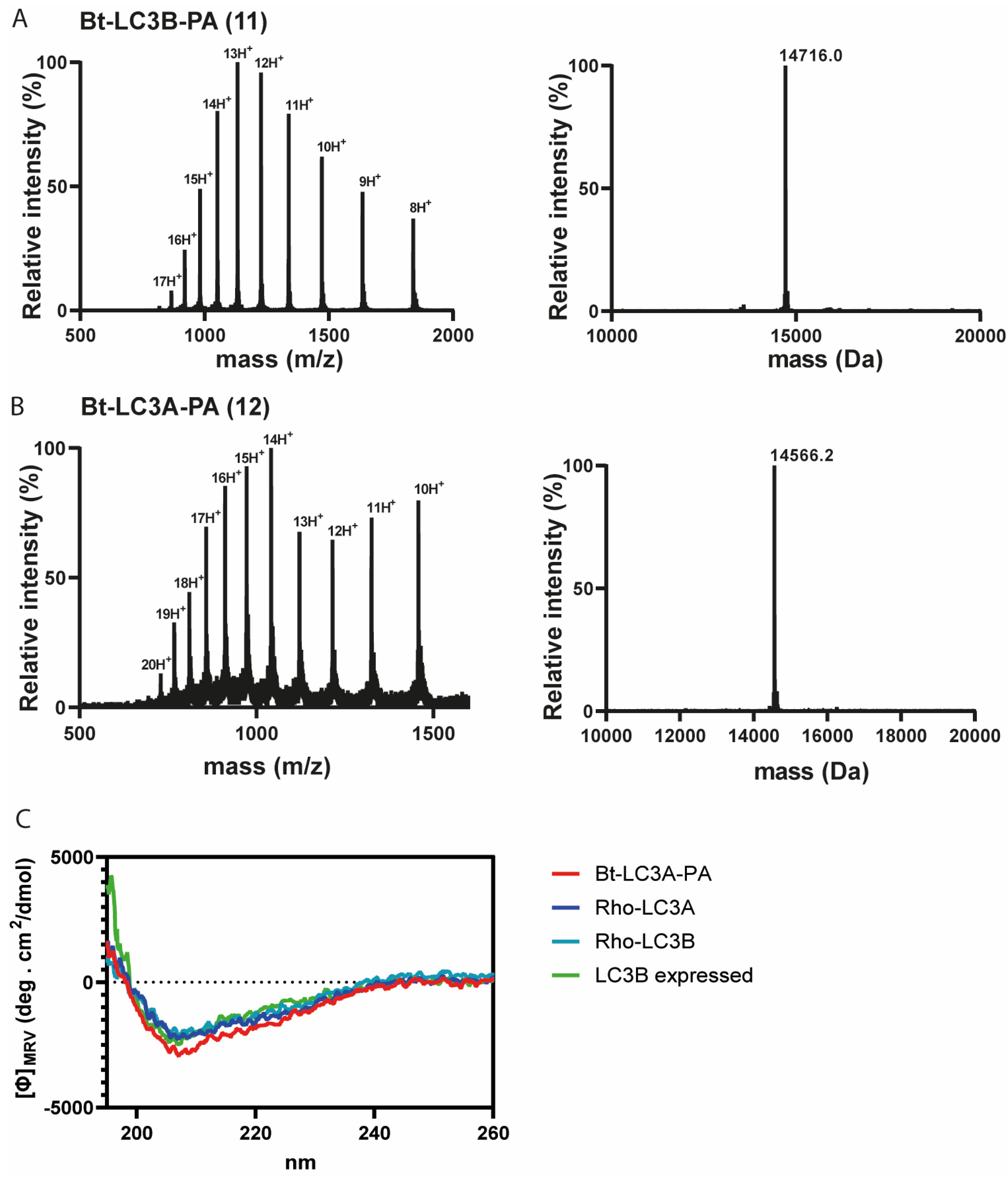 Biomedicines 11 00884 g003 Biomedicines 11 00884 g003