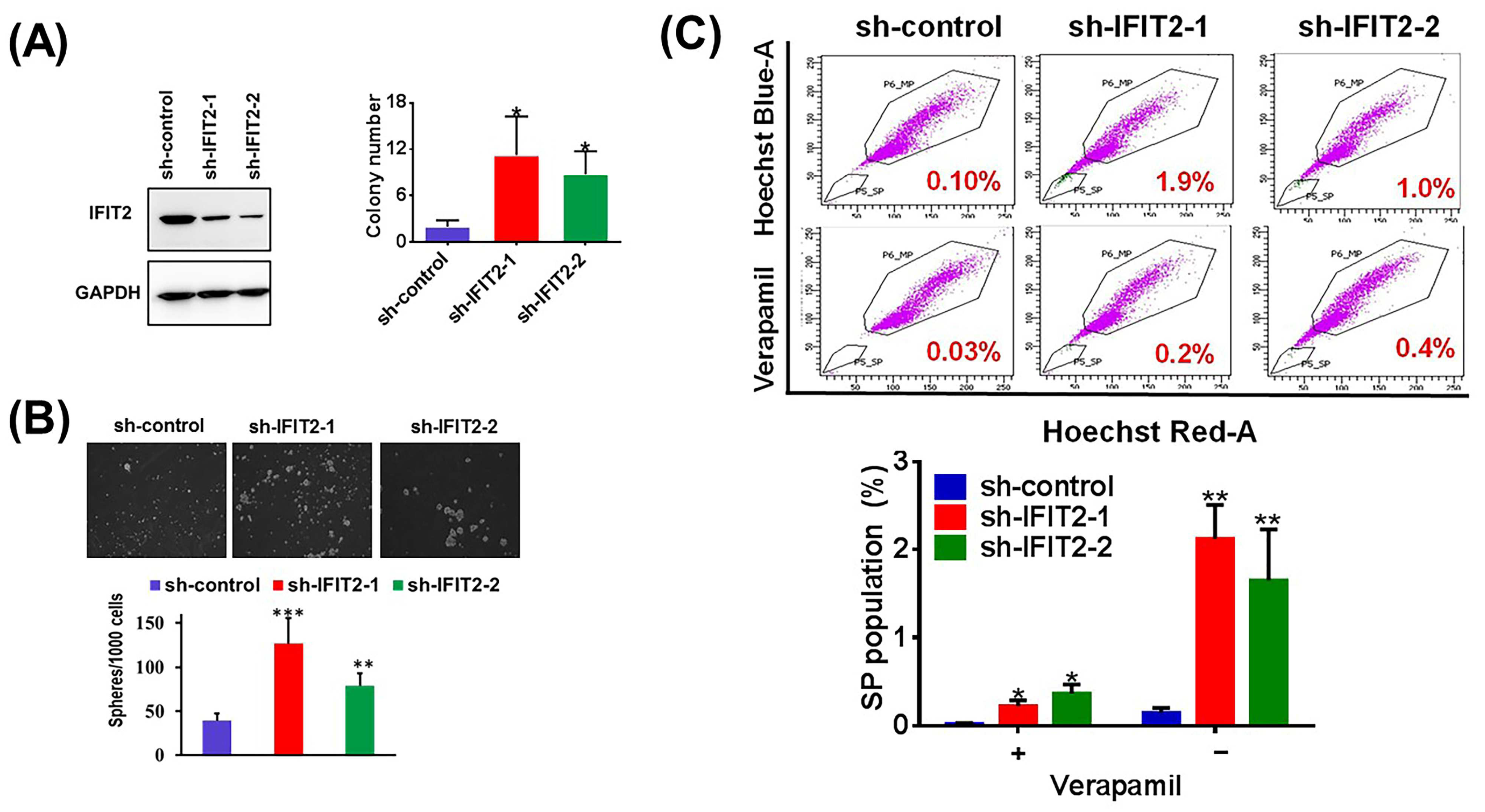 Biomedicines 11 00896 g001