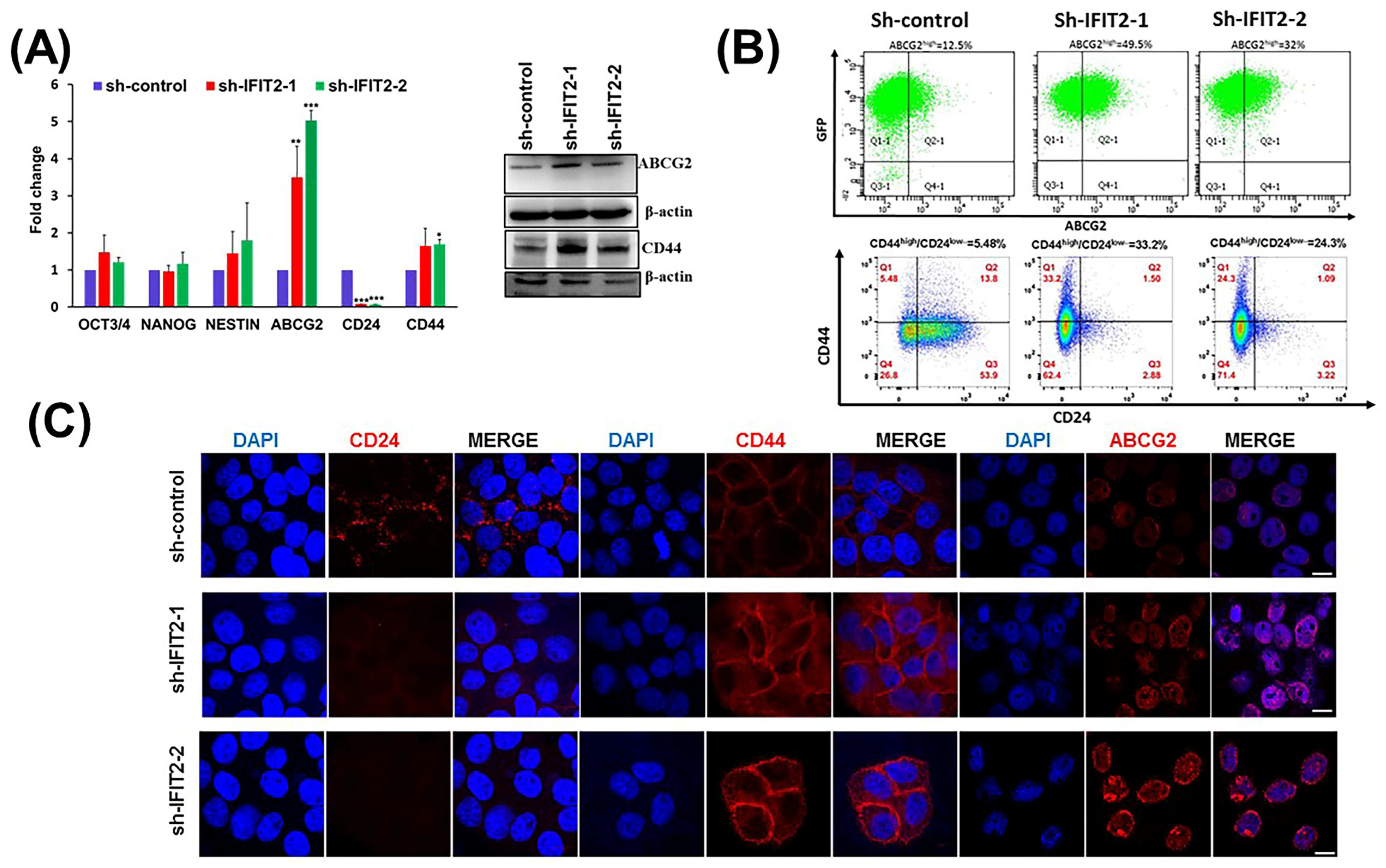 Biomedicines 11 00896 g002