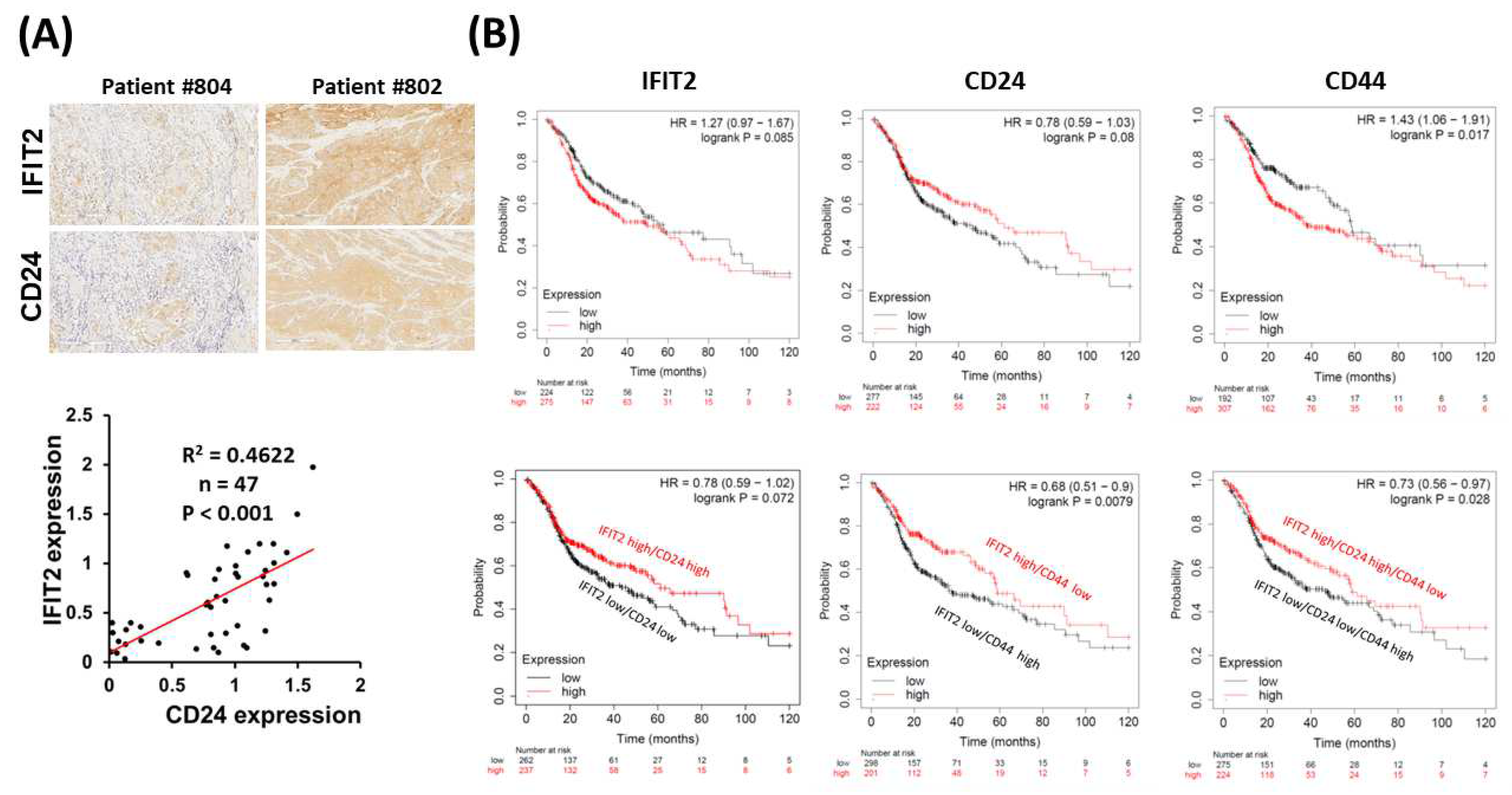 Biomedicines 11 00896 g004