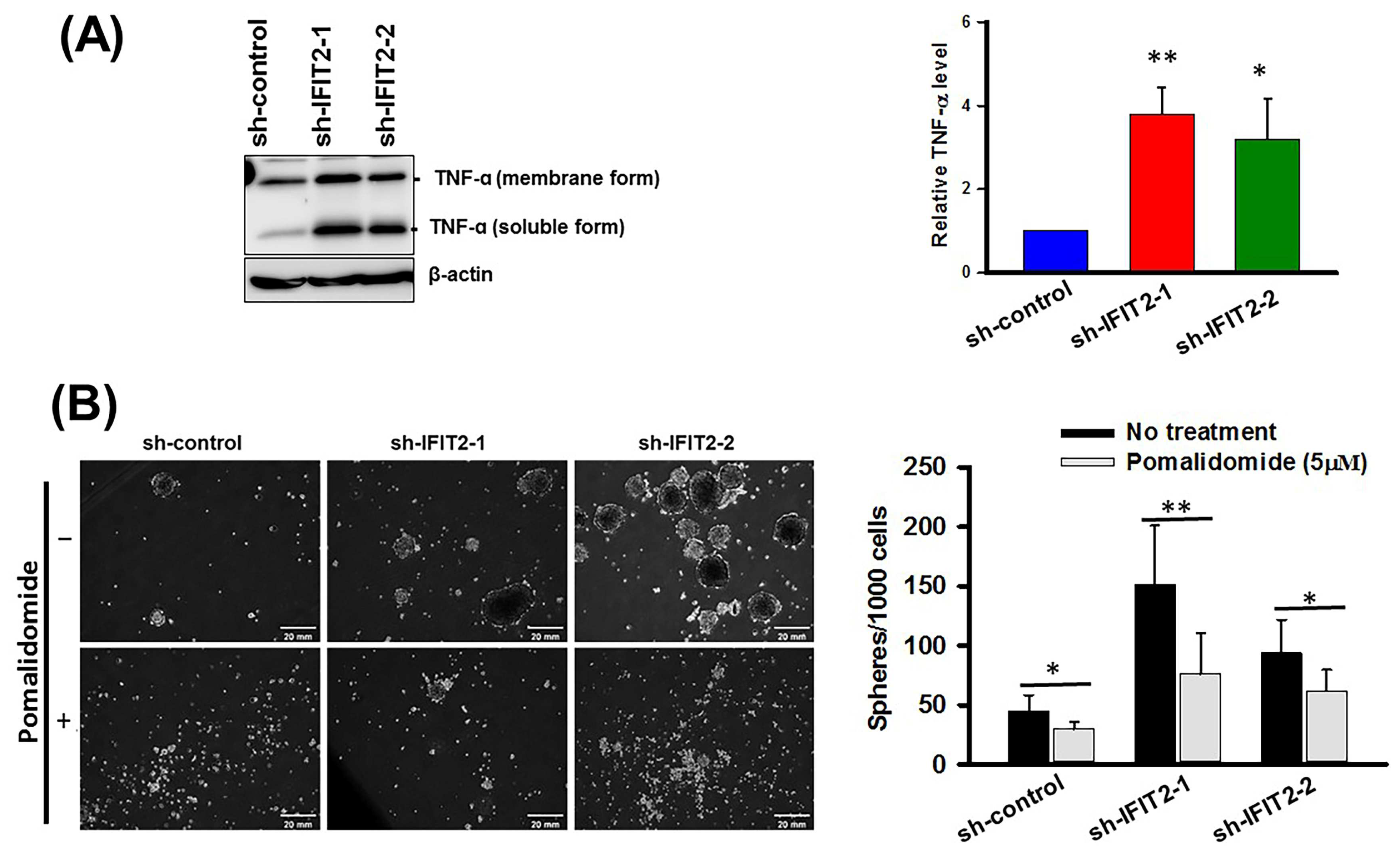 Biomedicines 11 00896 g005