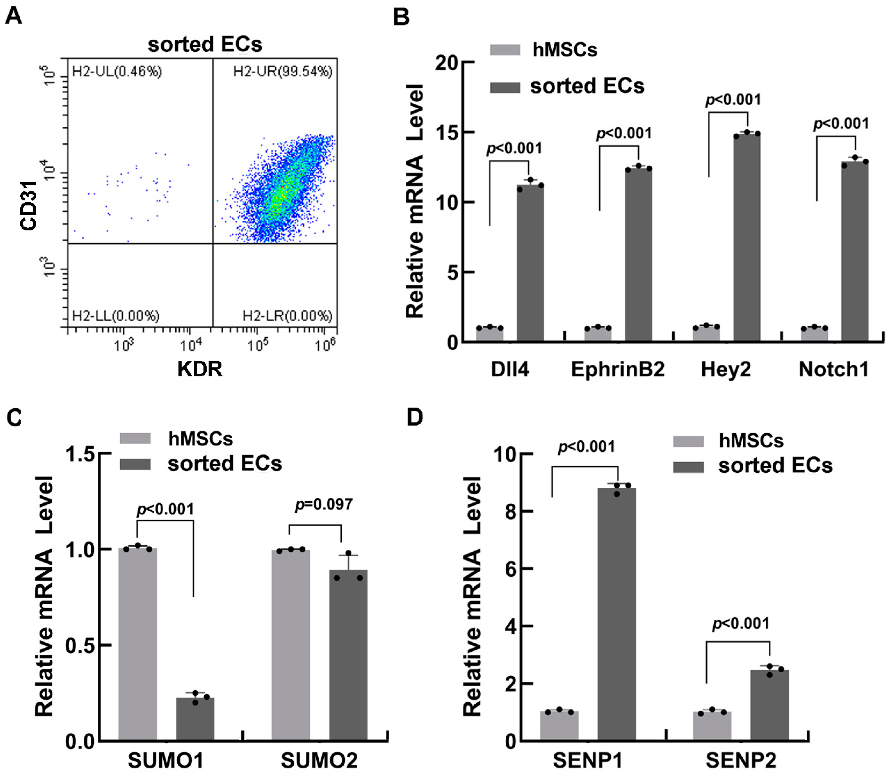 Biomedicines 11 00914 g001